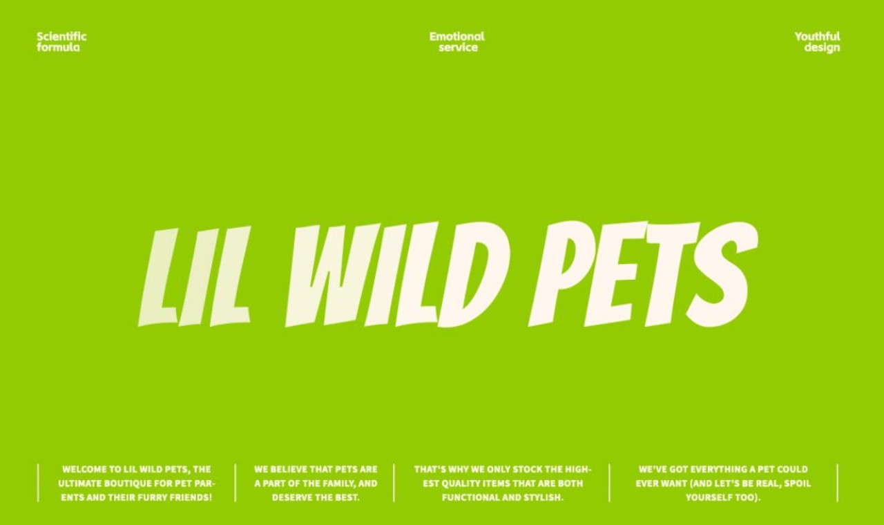 LIL WILD 小野  宠物品牌 IP全案设计 [47P] 杭州-神笔吗喽 (7).jpg