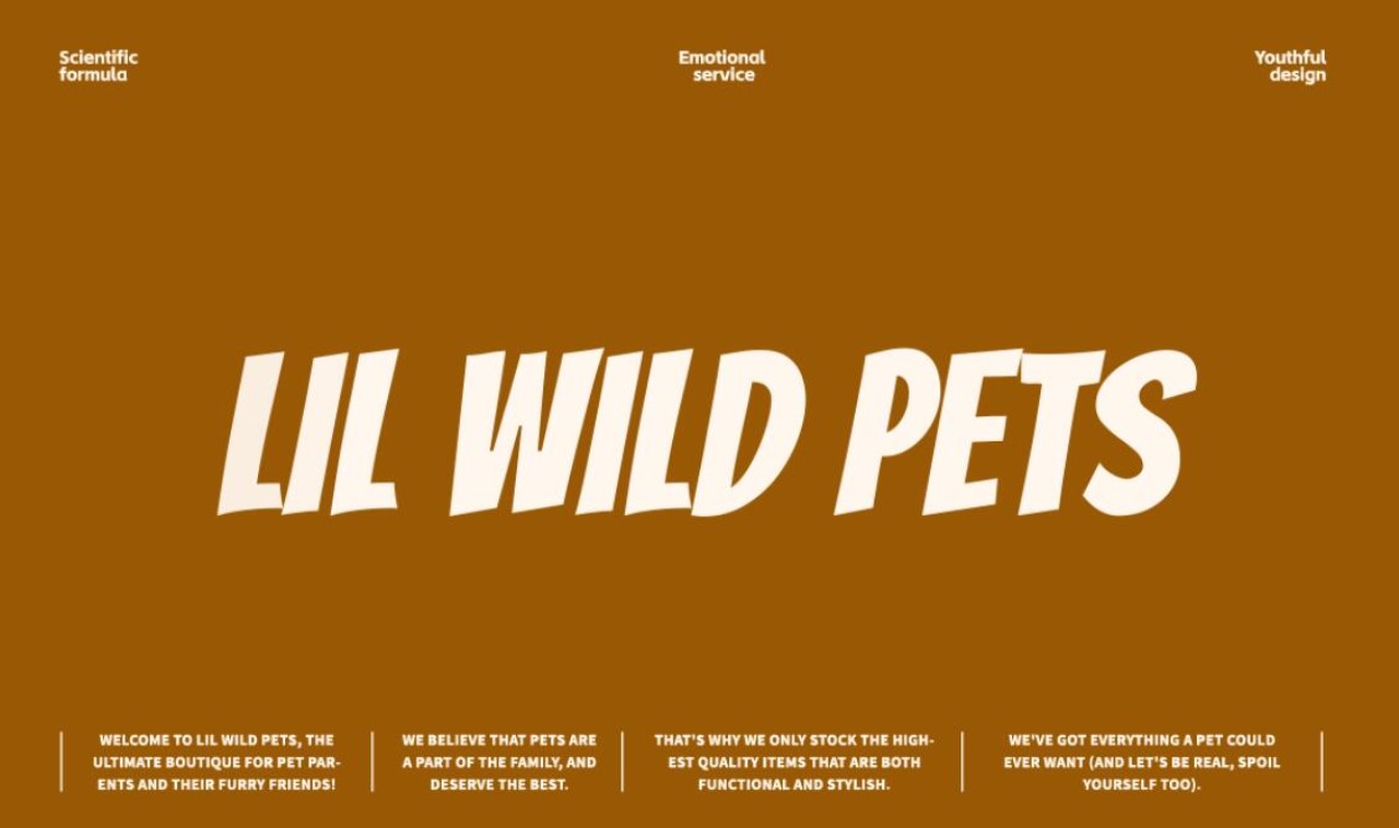 LIL WILD 小野  宠物品牌 IP全案设计 [47P] 杭州-神笔吗喽 (9).jpg