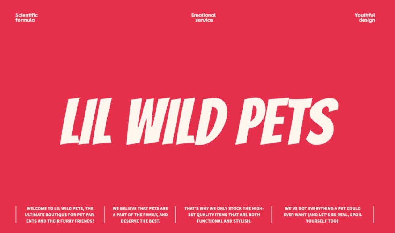 LIL WILD 小野  宠物品牌 IP全案设计 [47P] 杭州-神笔吗喽 (11).jpg