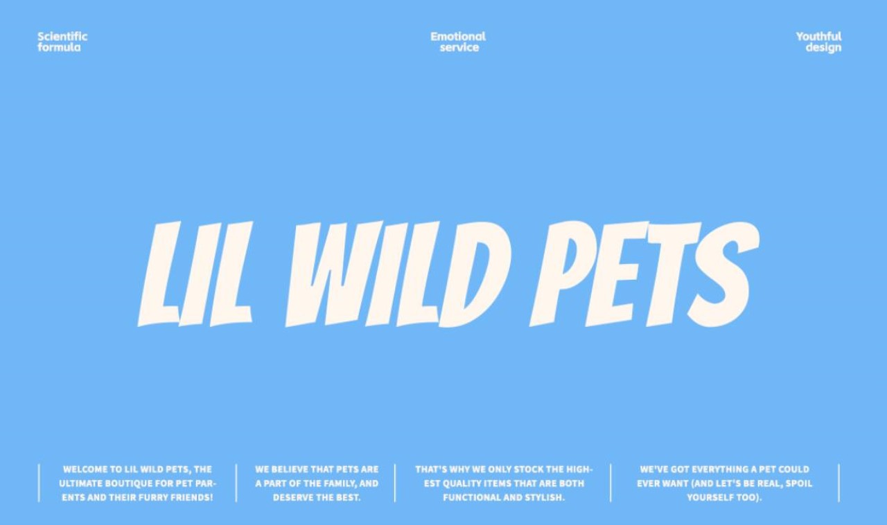 LIL WILD 小野  宠物品牌 IP全案设计 [47P] 杭州-神笔吗喽 (10).jpg