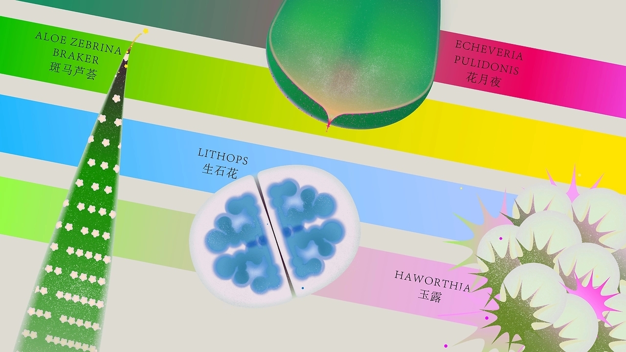 Botanical Energy  植物能量 [31P] 东京-20C_design (2).jpg