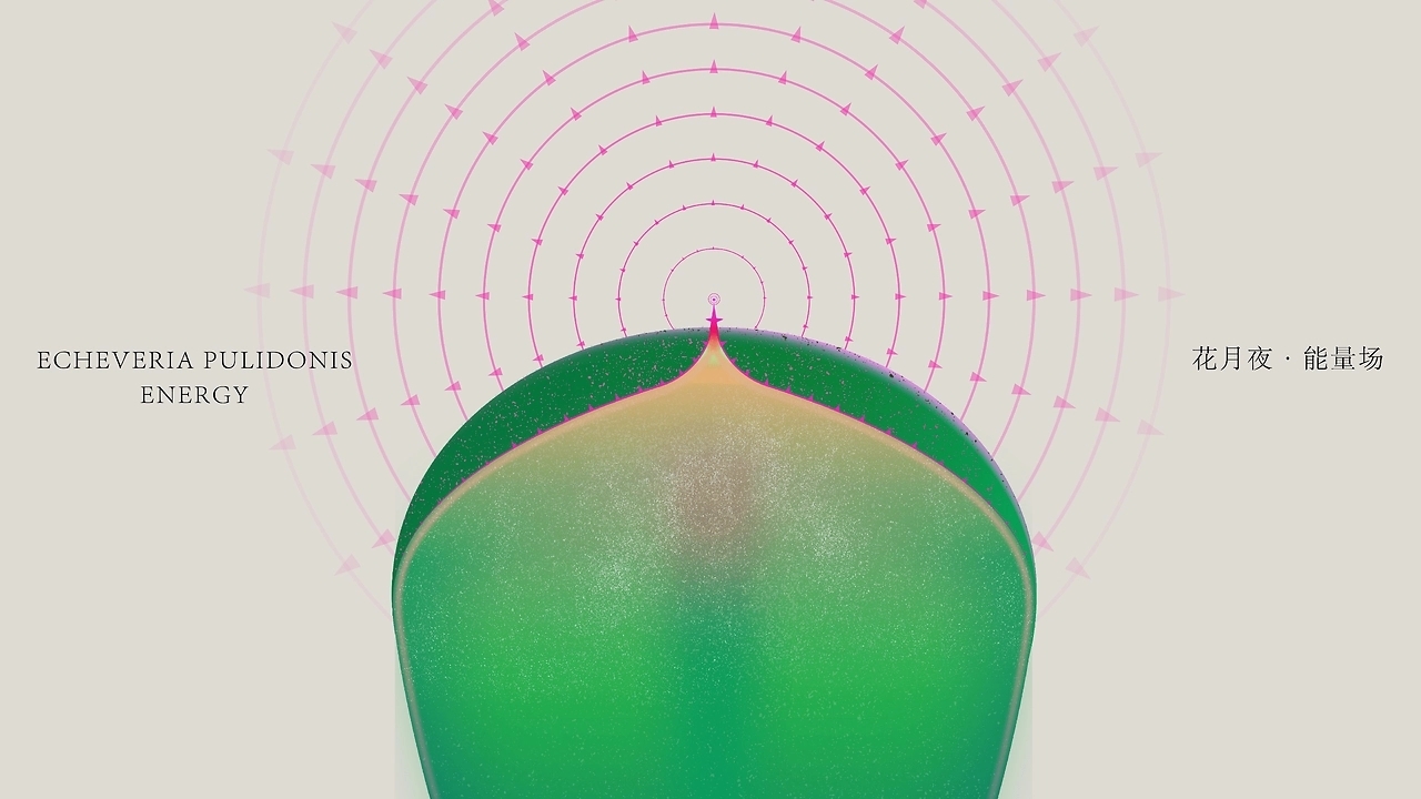 Botanical Energy  植物能量 [31P] 东京-20C_design (3).jpg