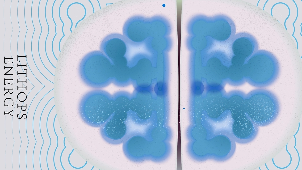 Botanical Energy  植物能量 [31P] 东京-20C_design (9).jpg