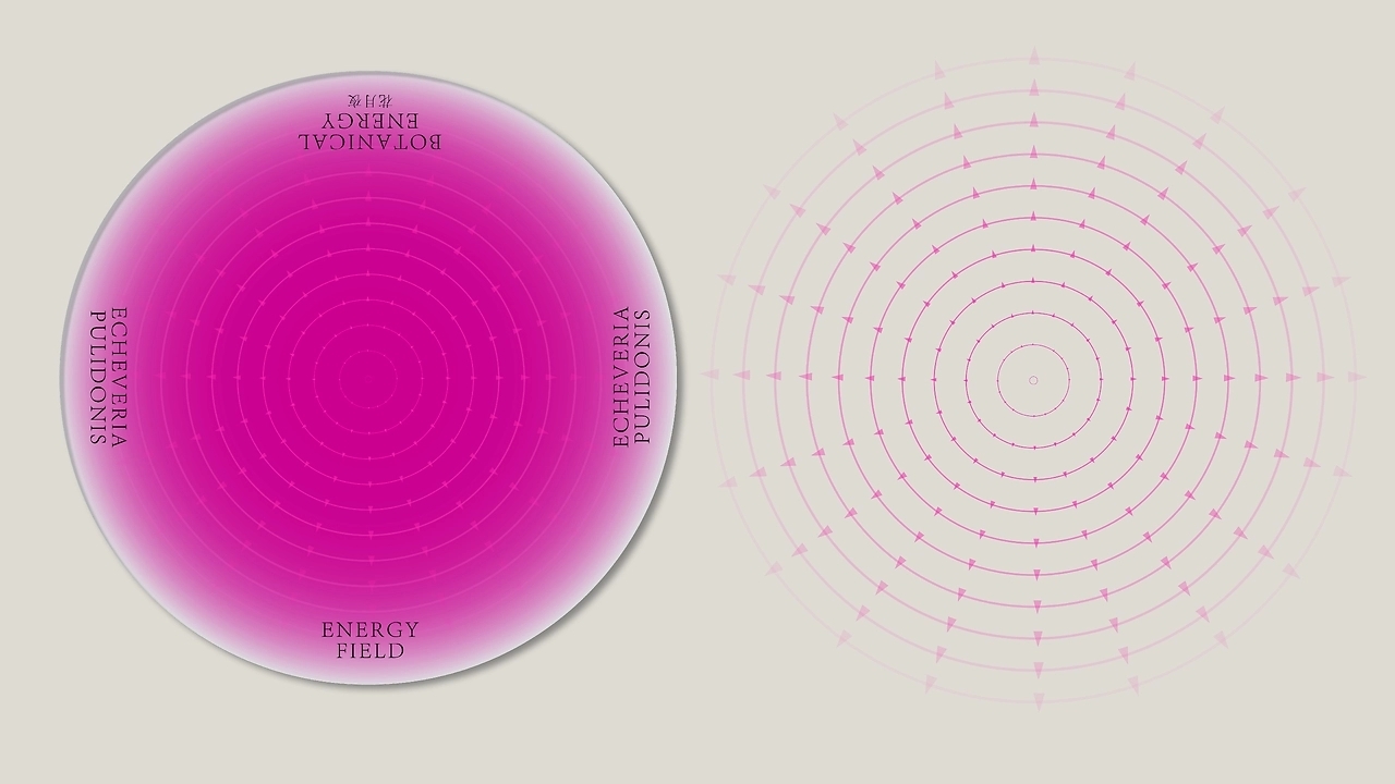 Botanical Energy  植物能量 [31P] 东京-20C_design (18).jpg