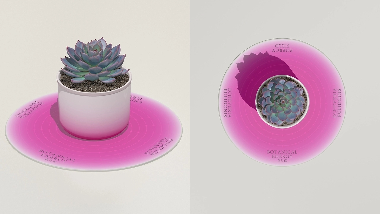 Botanical Energy  植物能量 [31P] 东京-20C_design (19).jpg