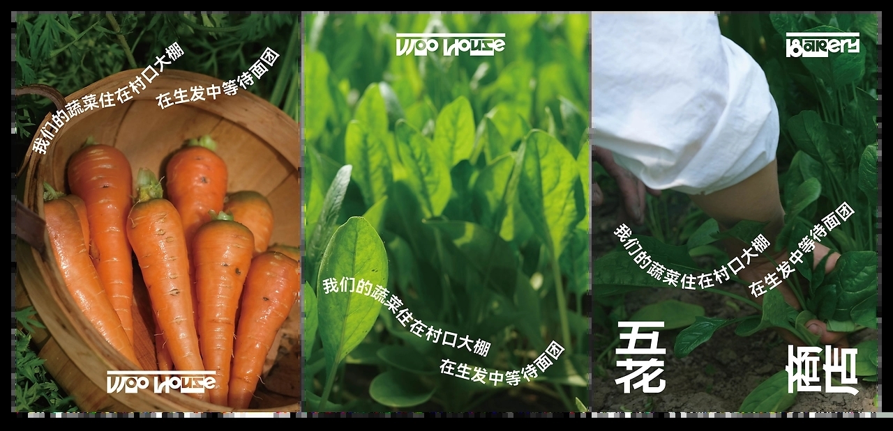 五花商店-烘焙品牌设计[30P] 北京-NiceLabStudio (9).jpg