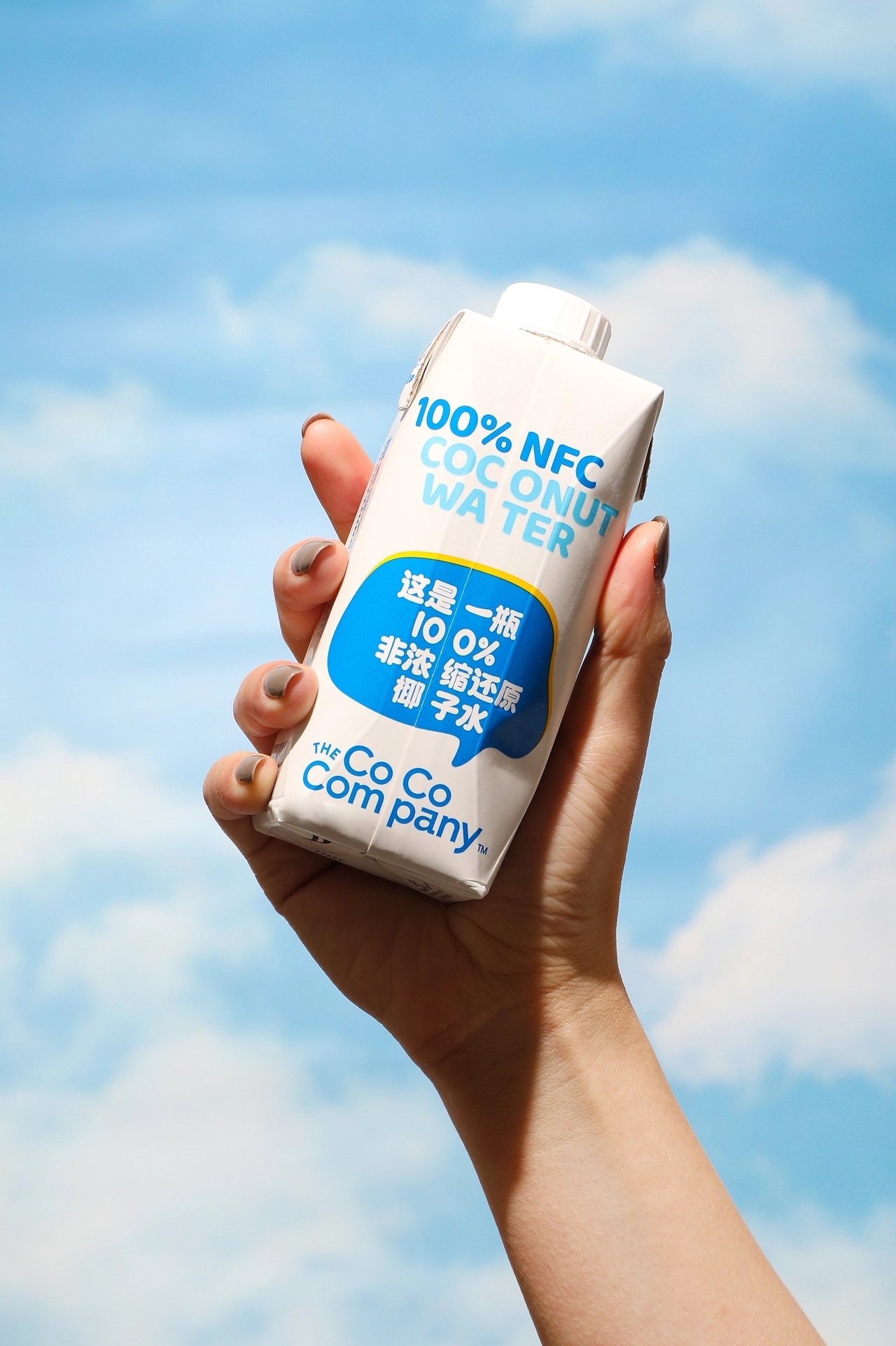 可可满分椰乳品牌视觉[35P] 上海-lowkeydesign (10).jpg