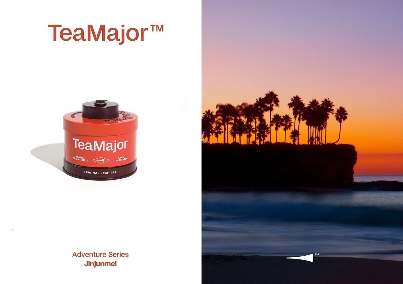 鲜叶说茶品牌[49P] 上海-lowkeydesign  (18).jpg