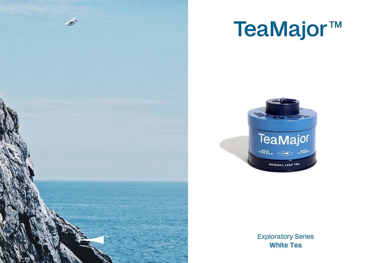 鲜叶说茶品牌[49P] 上海-lowkeydesign  (17).jpg