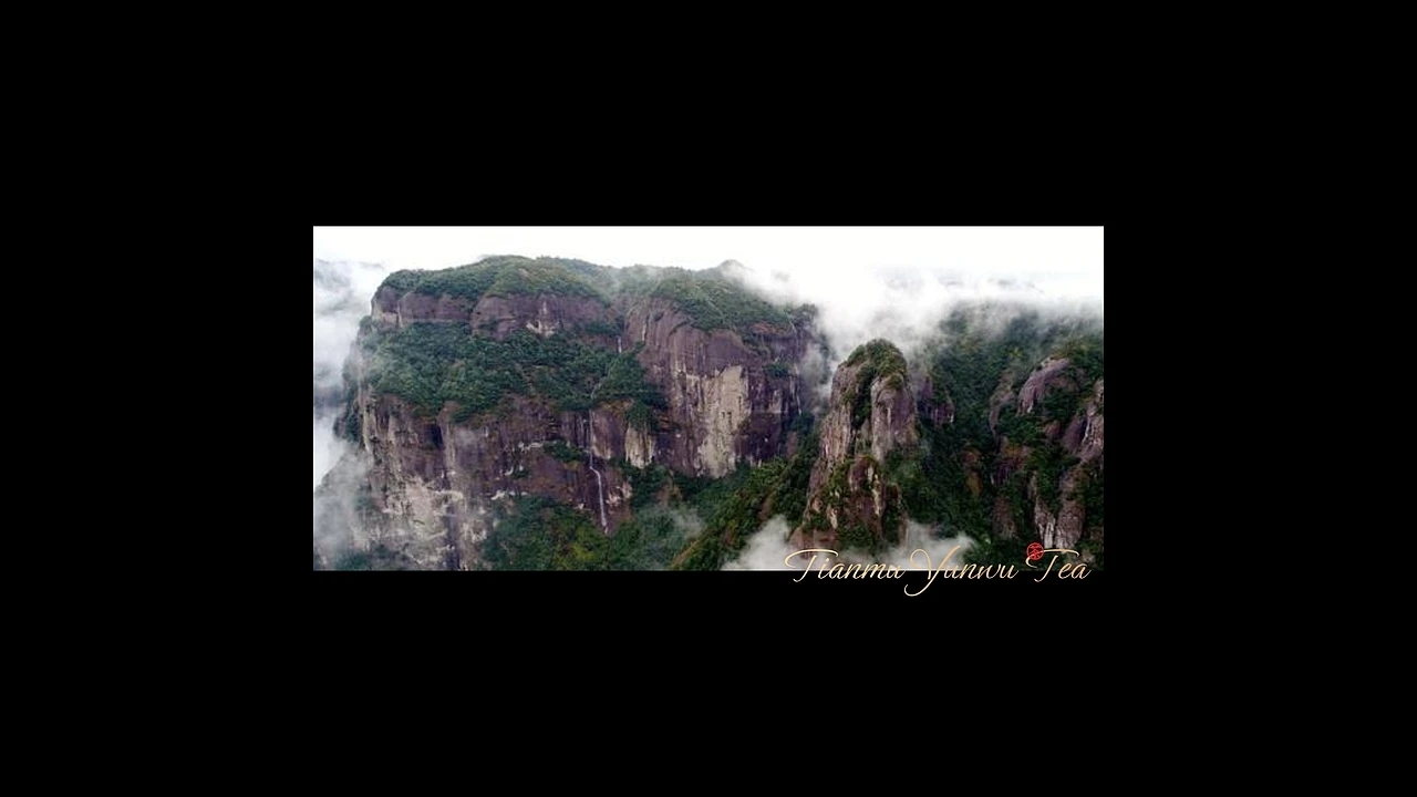 意大利A&#039;设计大奖银奖 天姥云雾高端红茶包装 (一)[32P] 成都-刘旭创意  (13).jpg