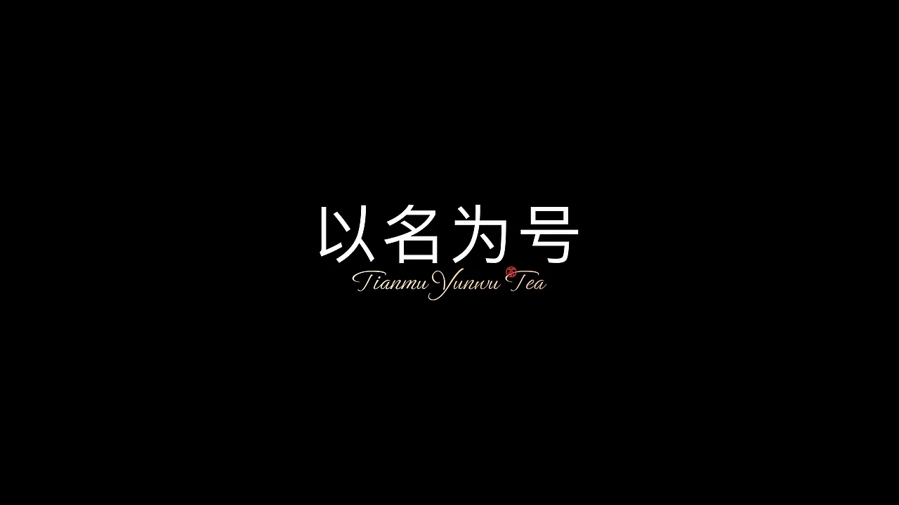 意大利A&#039;设计大奖银奖 天姥云雾高端红茶包装 (一)[32P] 成都-刘旭创意  (27).jpg