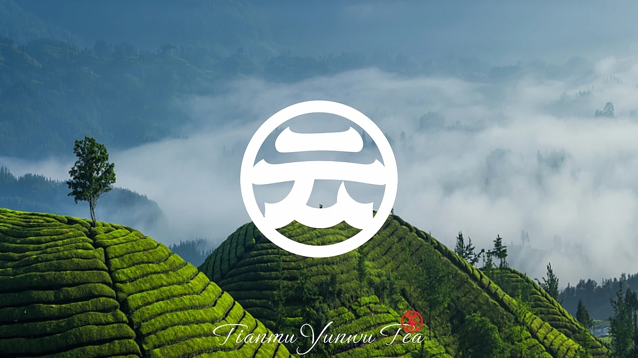 意大利A&#039;设计大奖银奖 天姥云雾高端红茶包装 (一)[32P] 成都-刘旭创意  (32).jpg