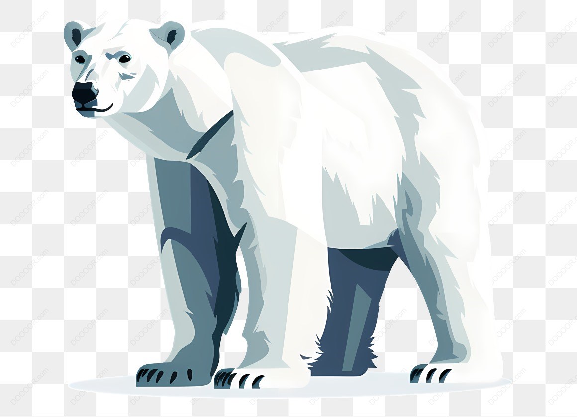 20505_北极熊动物形象.jpg
