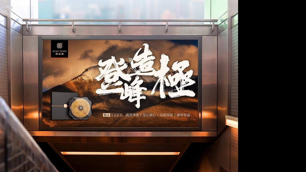 冬虫夏草品牌包装-极滋堂 (一) [32P] 成都-刘旭创意 (30).jpg