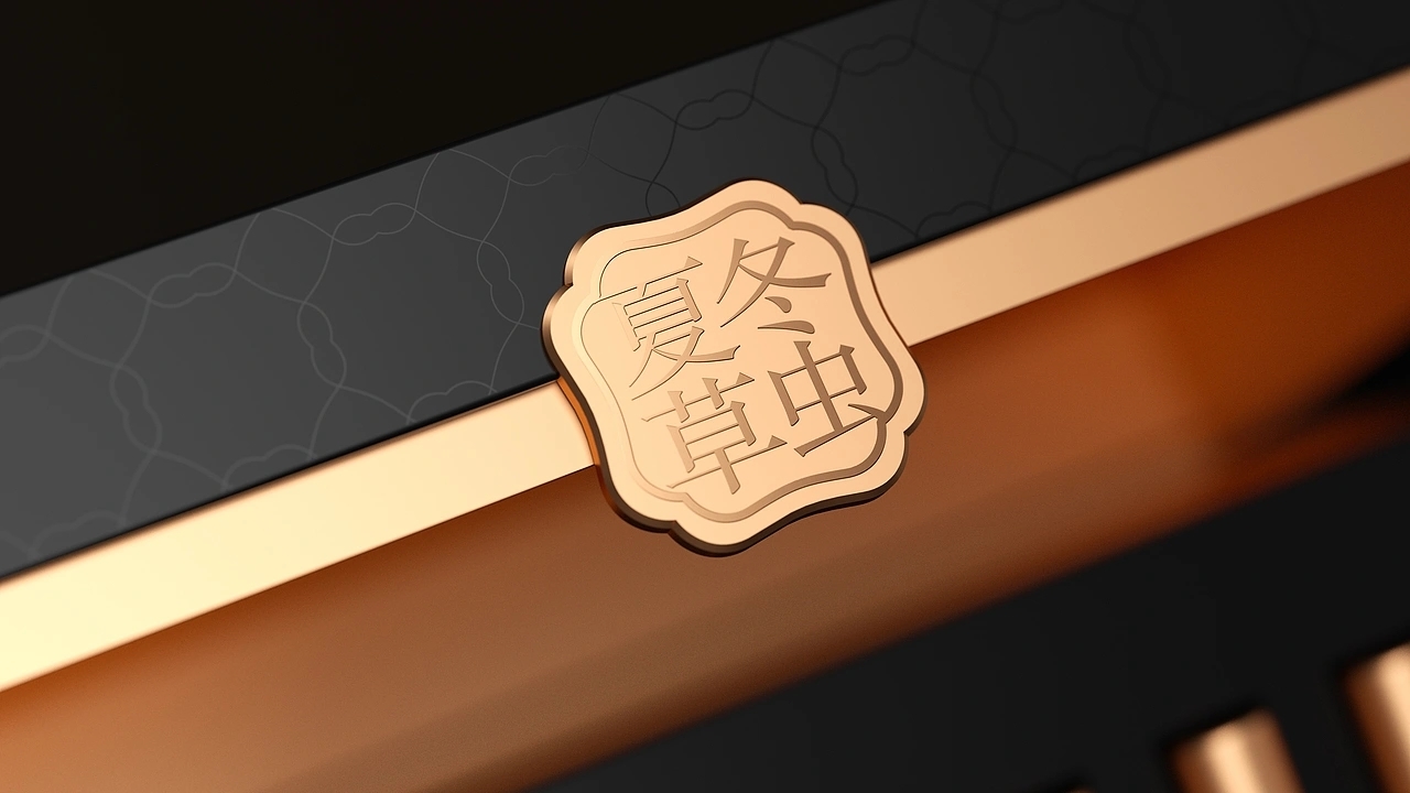 冬虫夏草品牌包装-极滋堂 (二) [35P] 成都-刘旭创意 (6).jpg