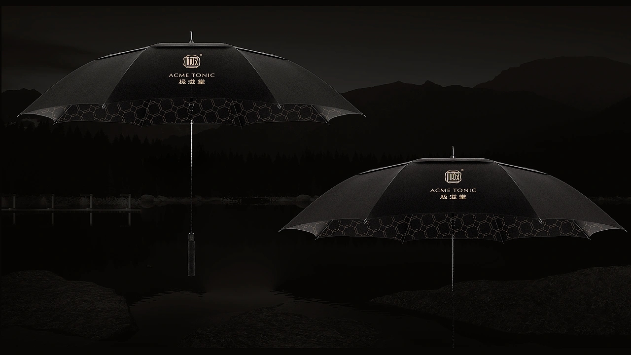 冬虫夏草品牌包装-极滋堂  (三) [24P] 成都-刘旭创意 (10).jpg