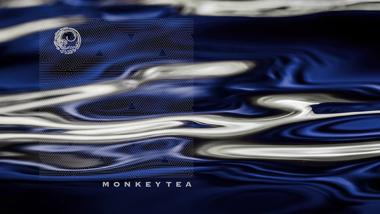 猴牌大红袍-茶叶包装 [34P] 成都-刘旭创意  (26).jpg