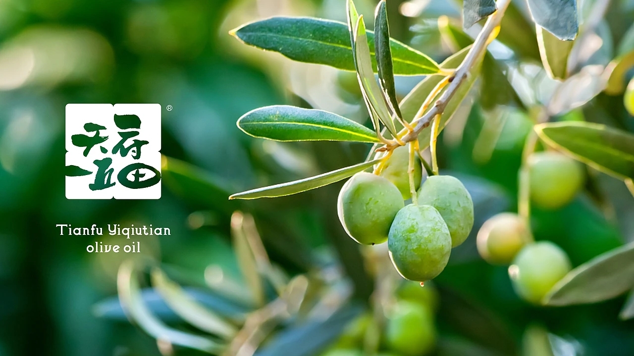 橄榄油包装-天府一丘田品牌包装升级 (一)[40P] 成都-刘旭创意 (10).jpg