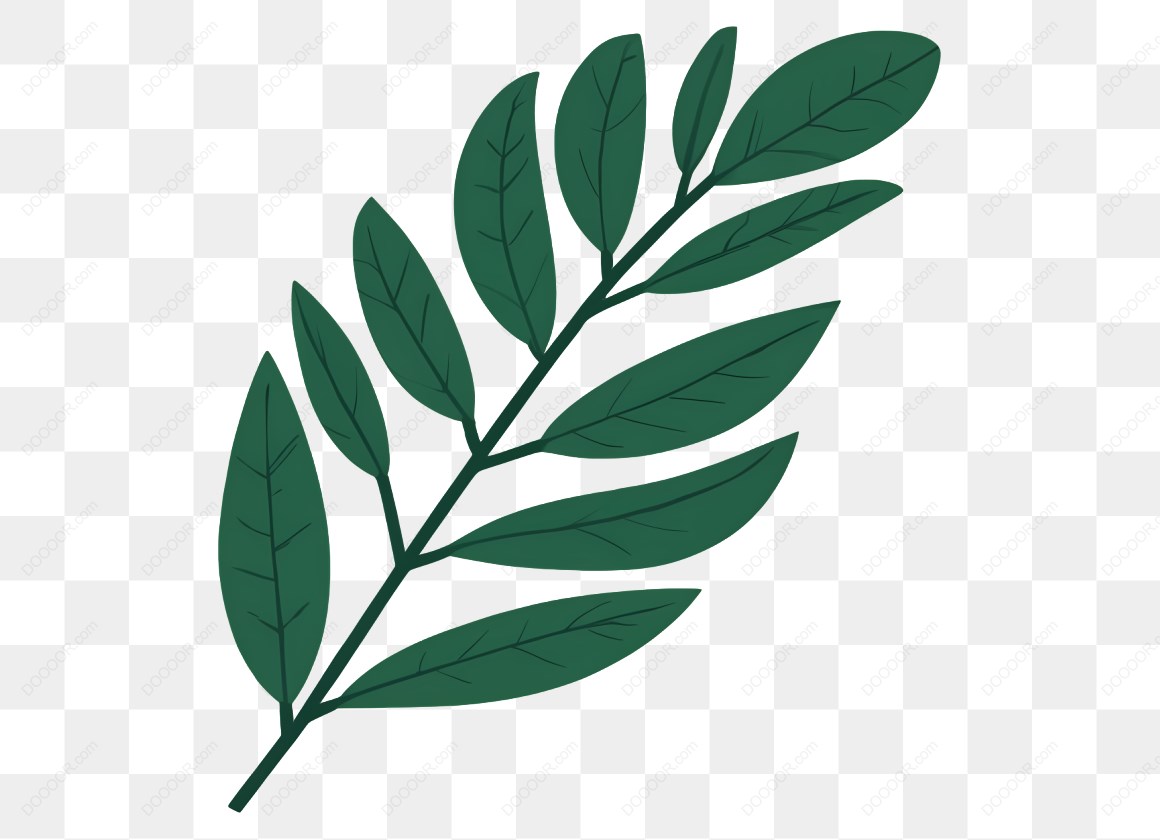 21080_深绿叶片自然清新设计元素.jpg