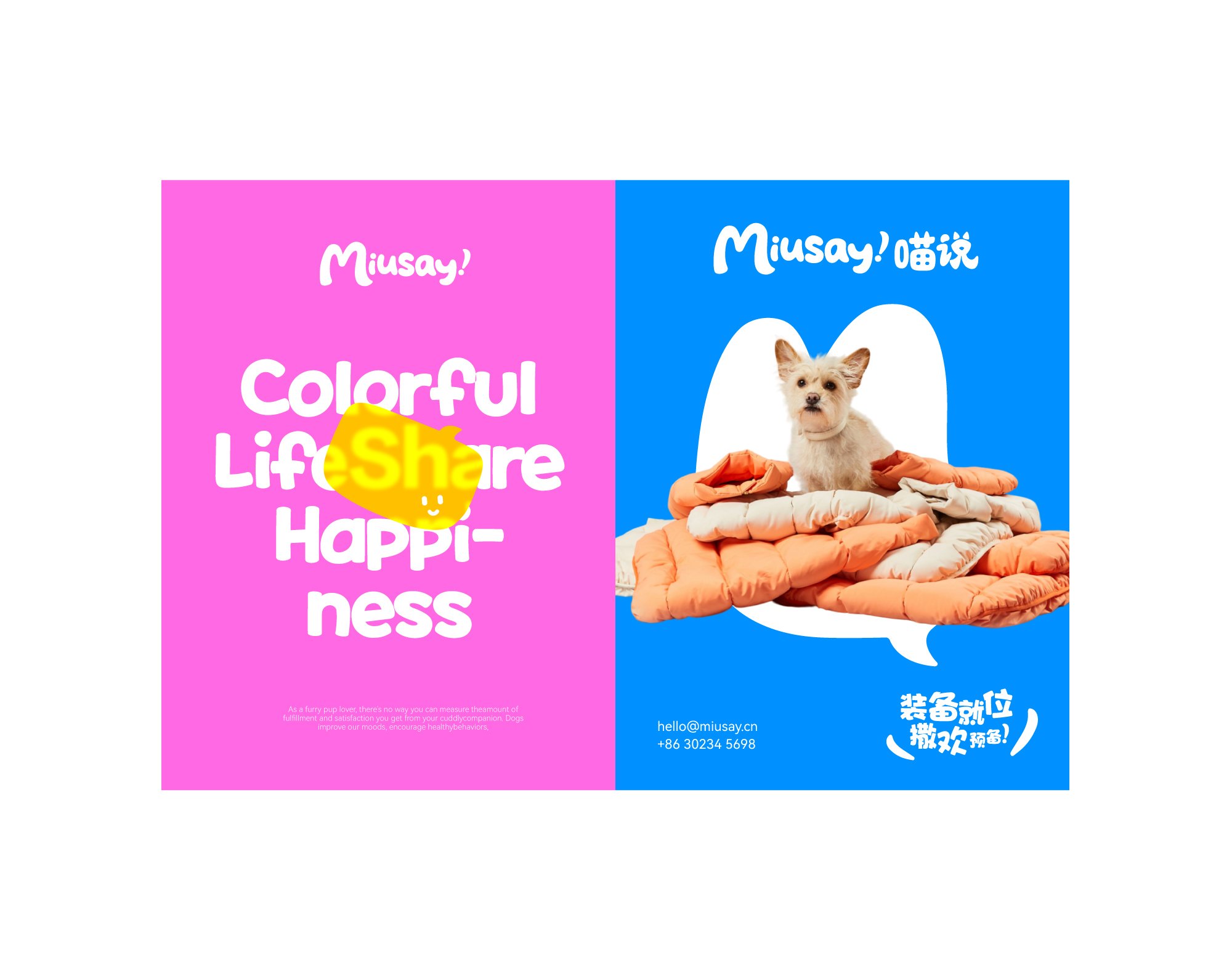 Miusay 喵说宠物品牌与包装设计_2.jpg