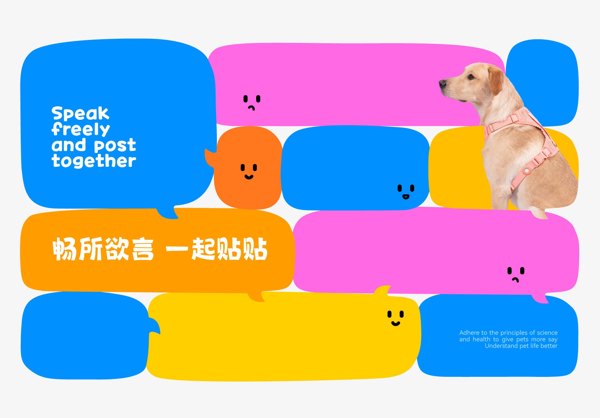 Miusay 喵说宠物品牌与包装设计_10.jpg