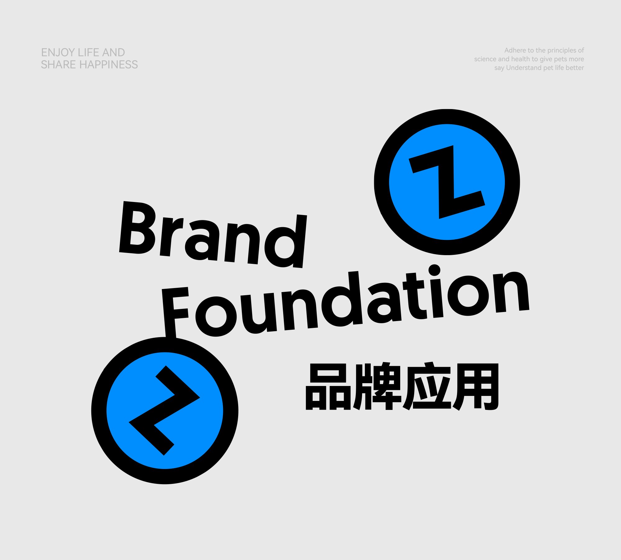 Miusay 喵说宠物品牌与包装设计_15.jpg