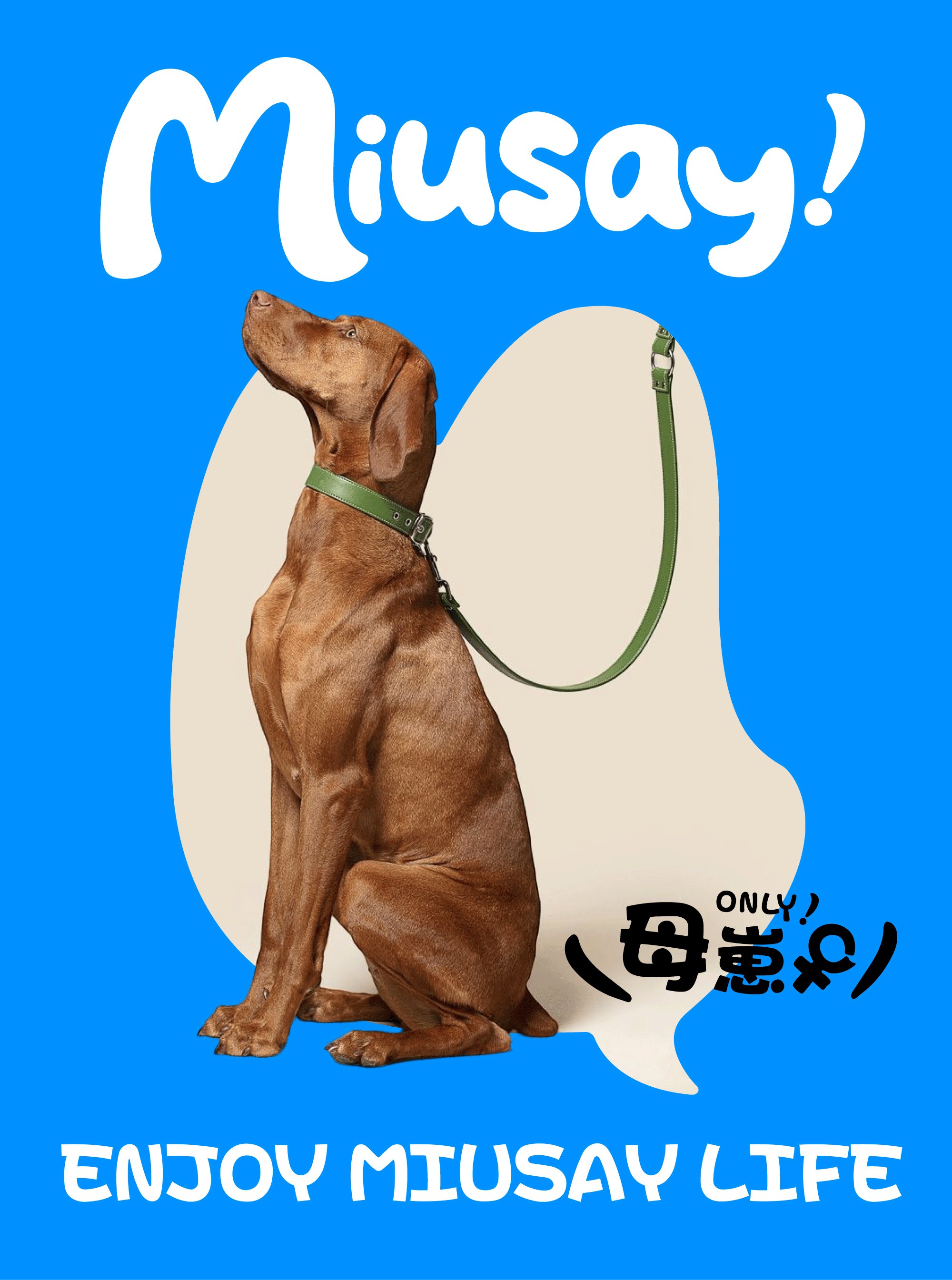 Miusay 喵说宠物品牌与包装设计_14.jpg