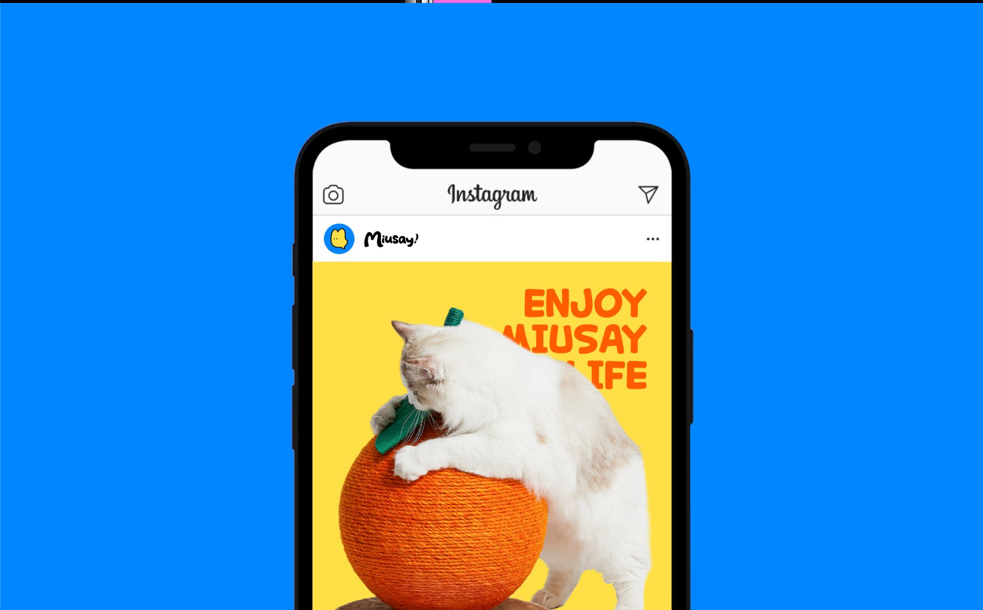 Miusay 喵说宠物品牌与包装设计_21.jpg