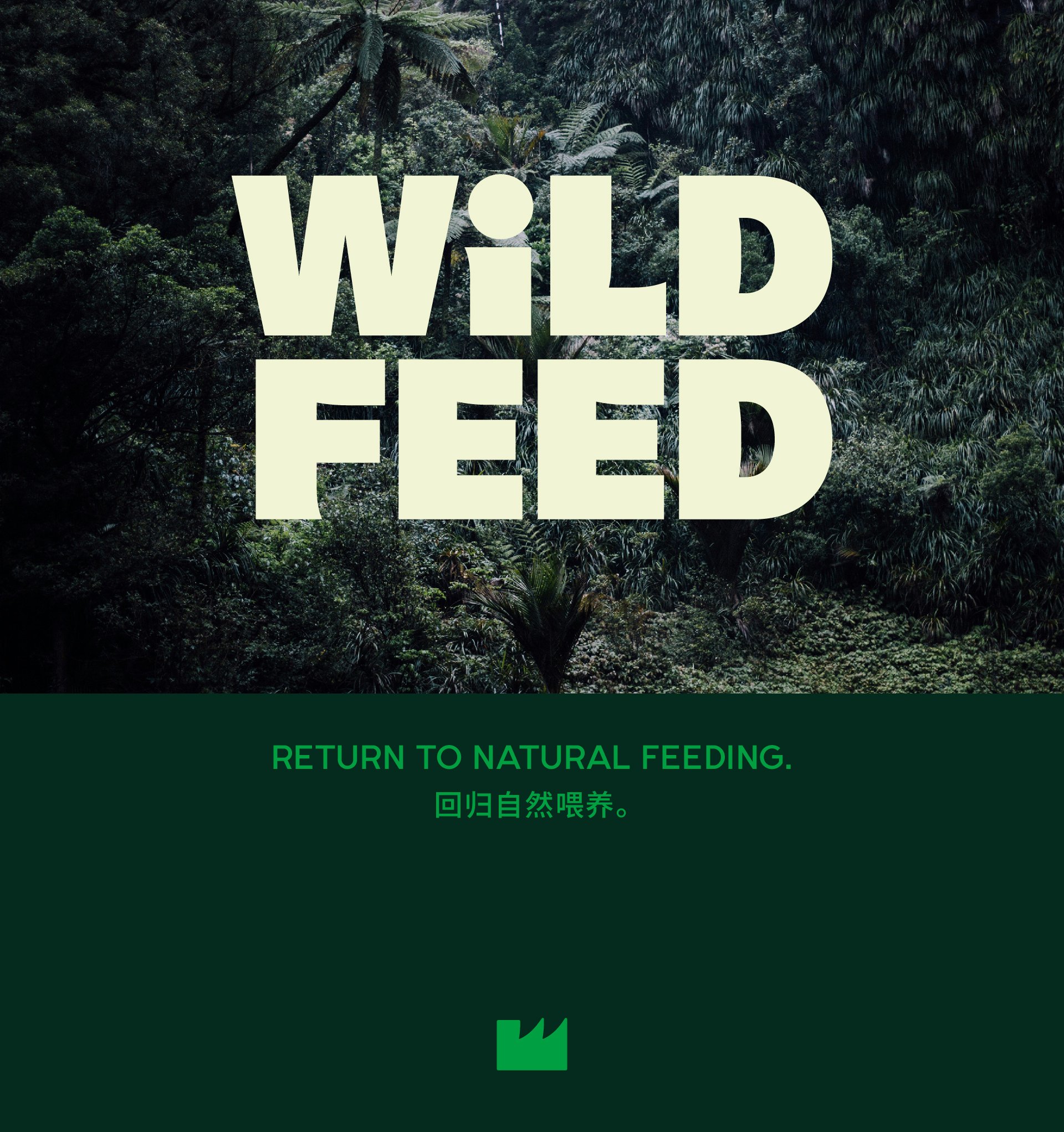 WiLD FEED 宠物品牌设计_2.jpg