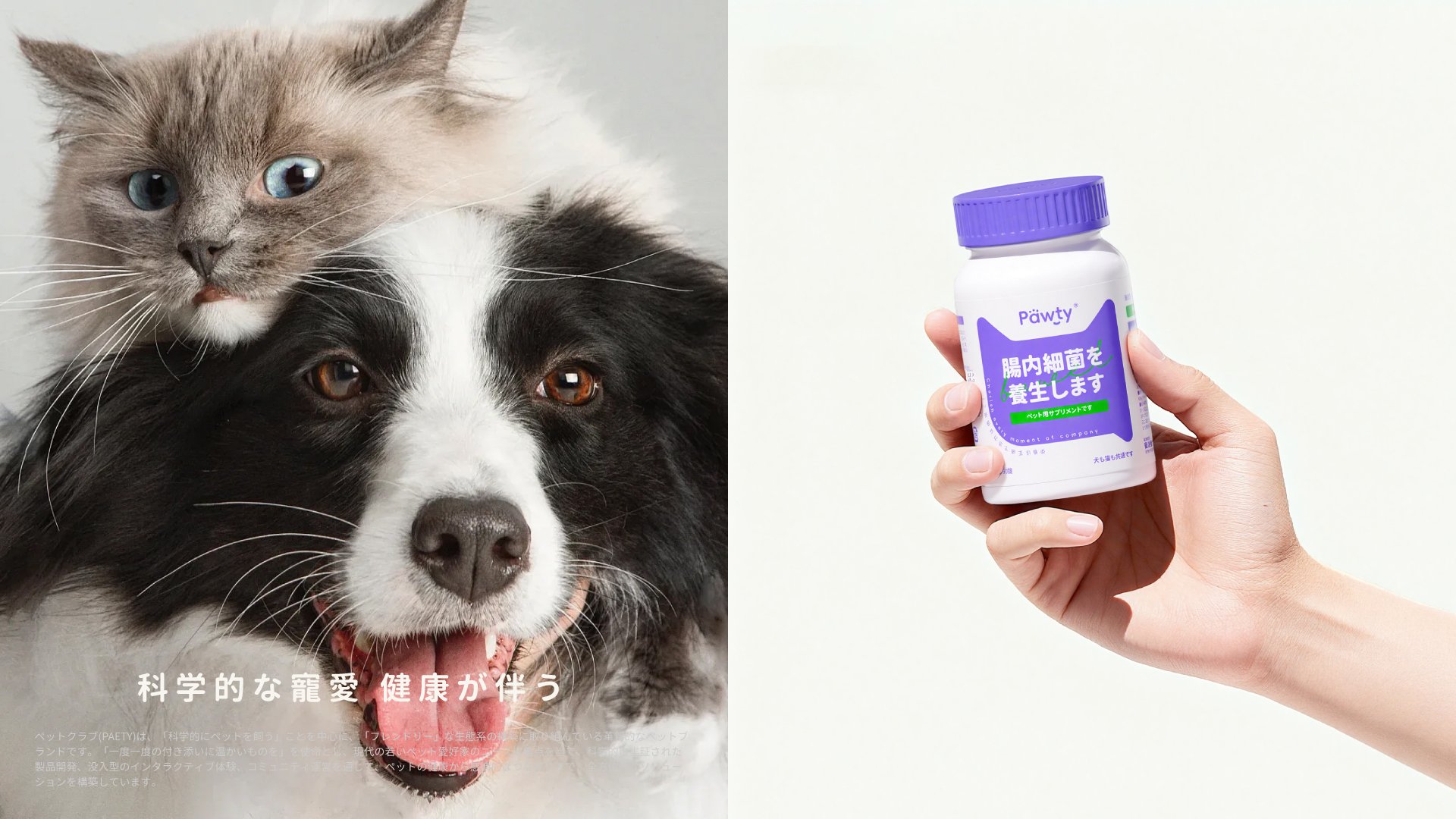 Pawty 宠派会  宠物营养补剂 品牌包装设计_26.jpg