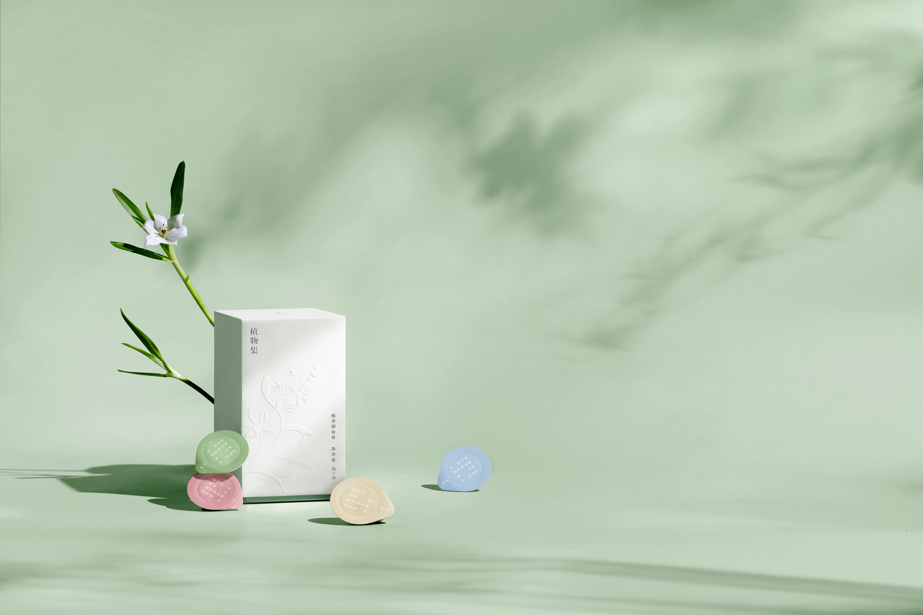 木头猫  植物集品牌视觉 包装设计_3.jpg