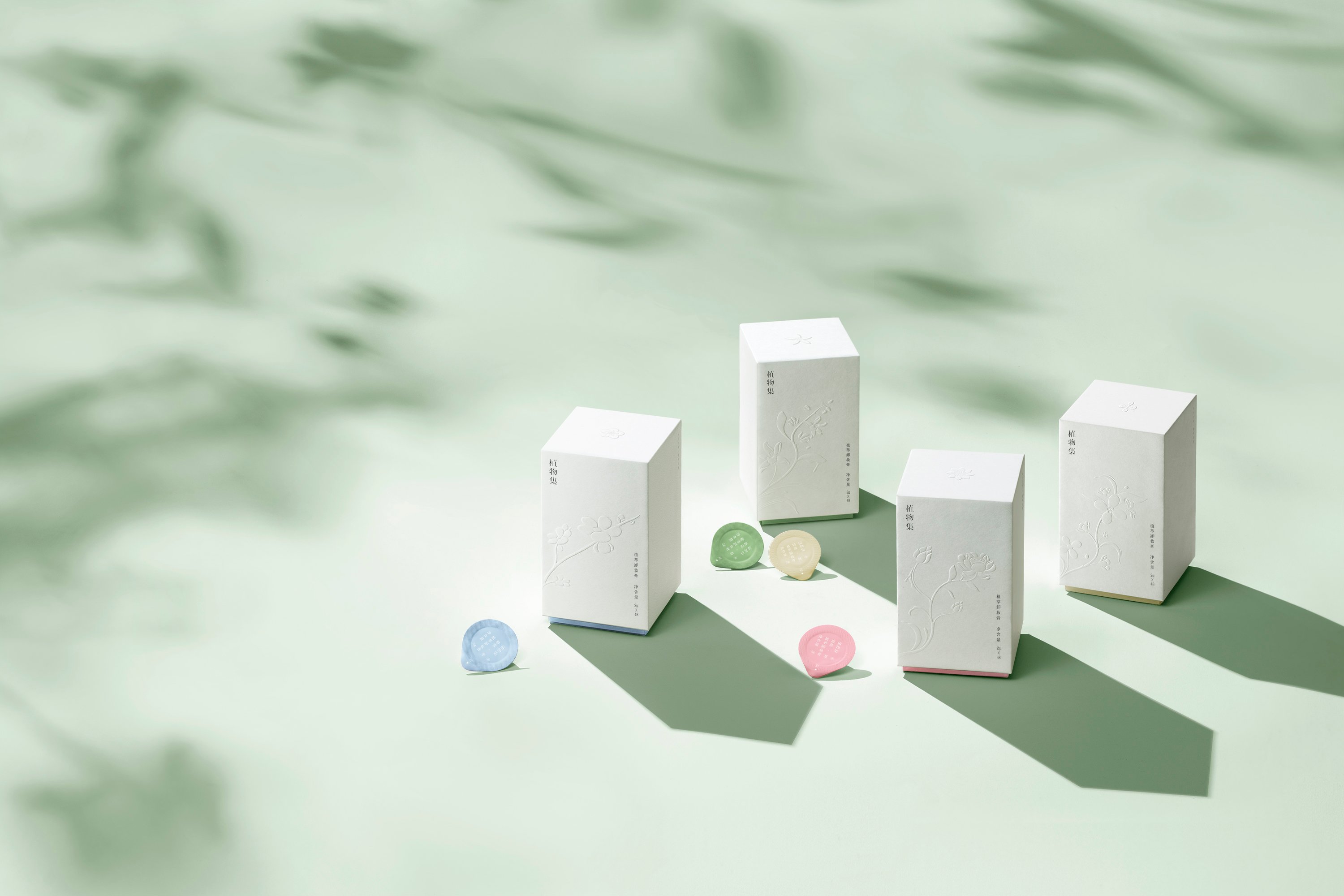 木头猫  植物集品牌视觉 包装设计_2.jpg