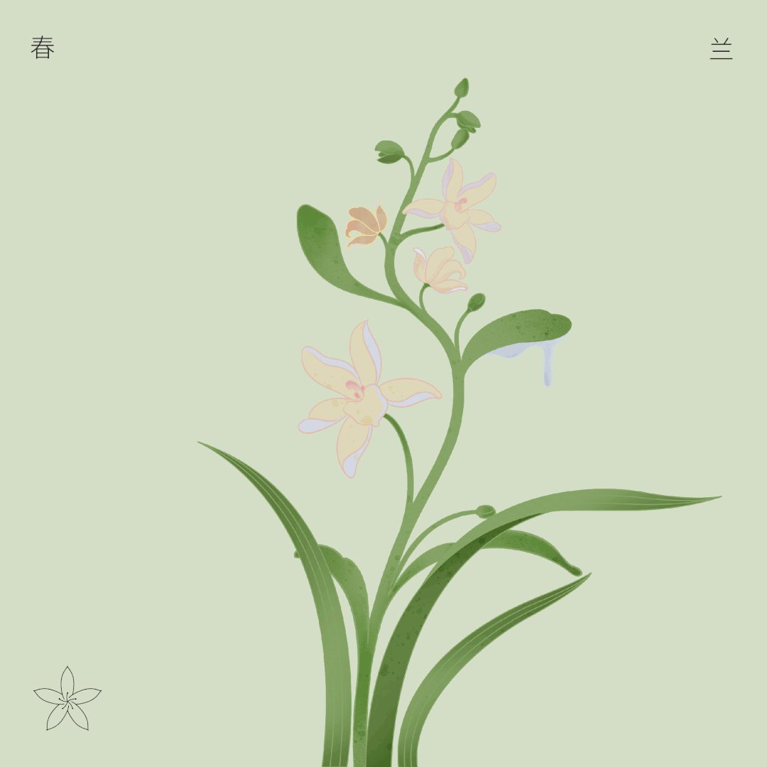 木头猫  植物集品牌视觉 包装设计_11.jpg