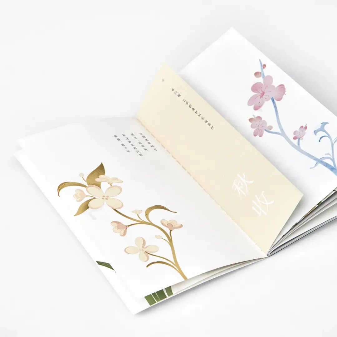 木头猫  植物集品牌视觉 包装设计_15.jpg