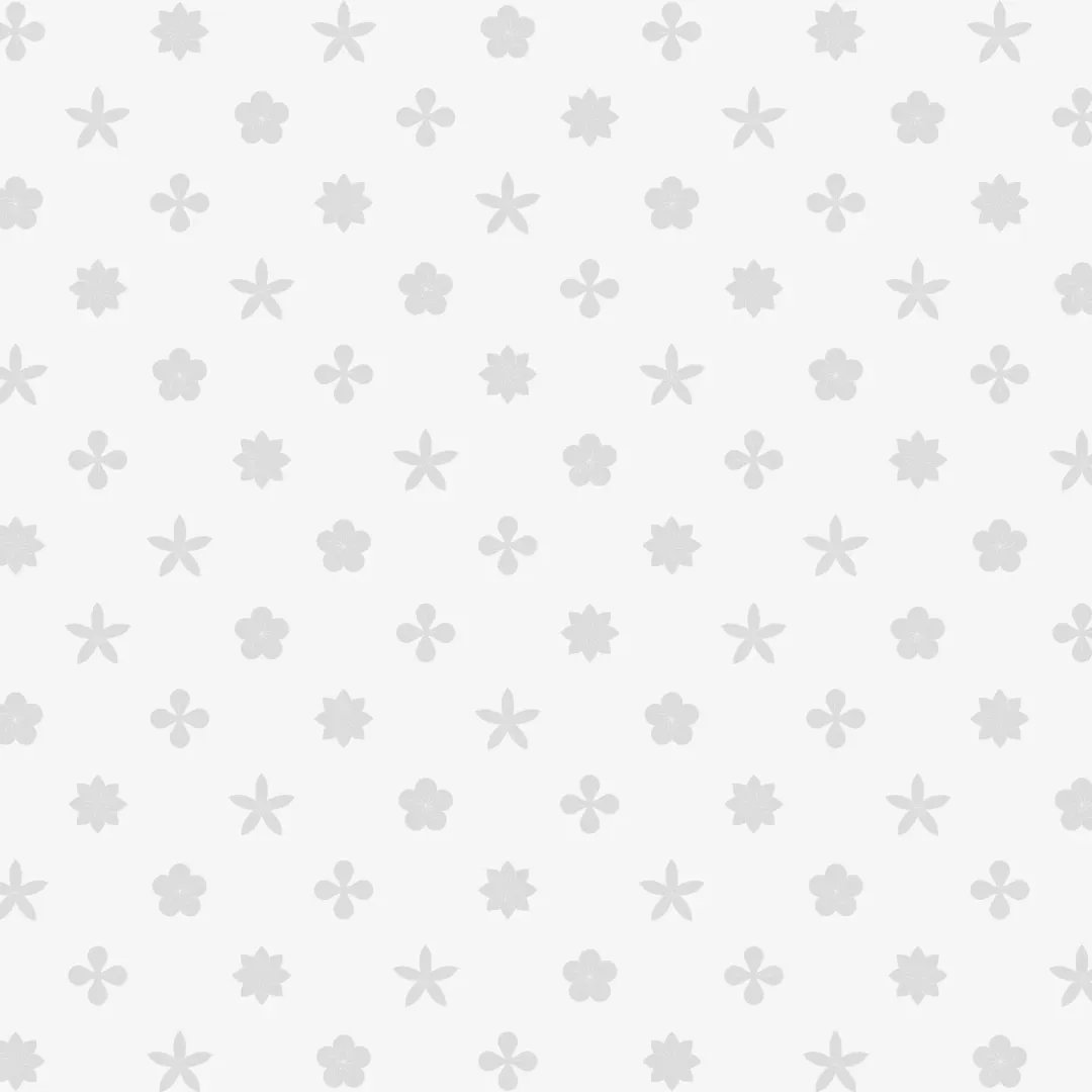 木头猫  植物集品牌视觉 包装设计_12.jpg