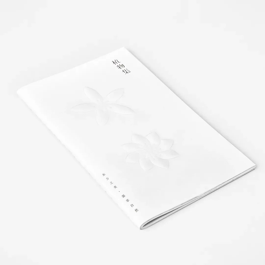 木头猫  植物集品牌视觉 包装设计_13.jpg