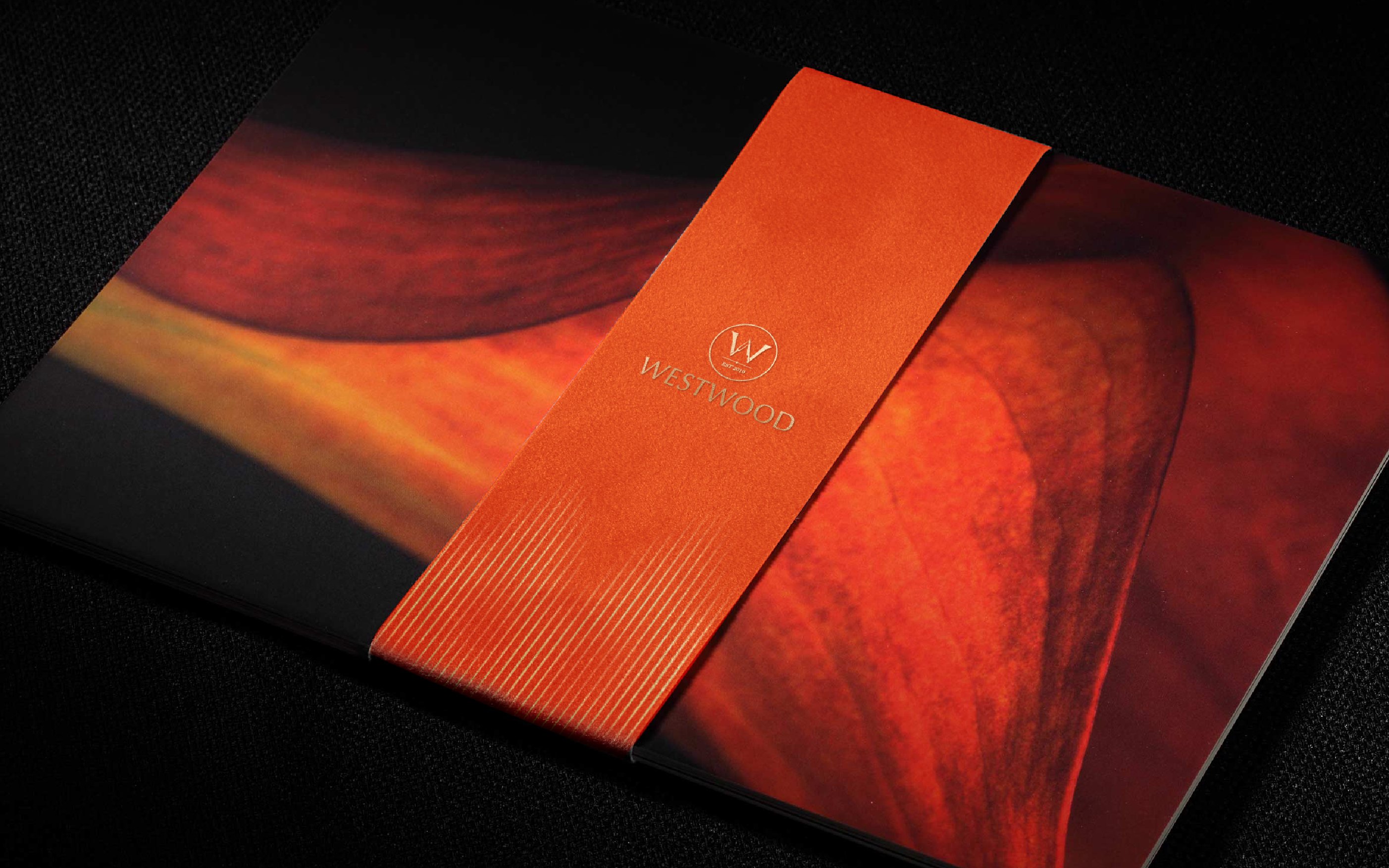 WESTWOOD 香港低温慢烤牛扒品牌  DBLUE洛蓝设计_13.jpg