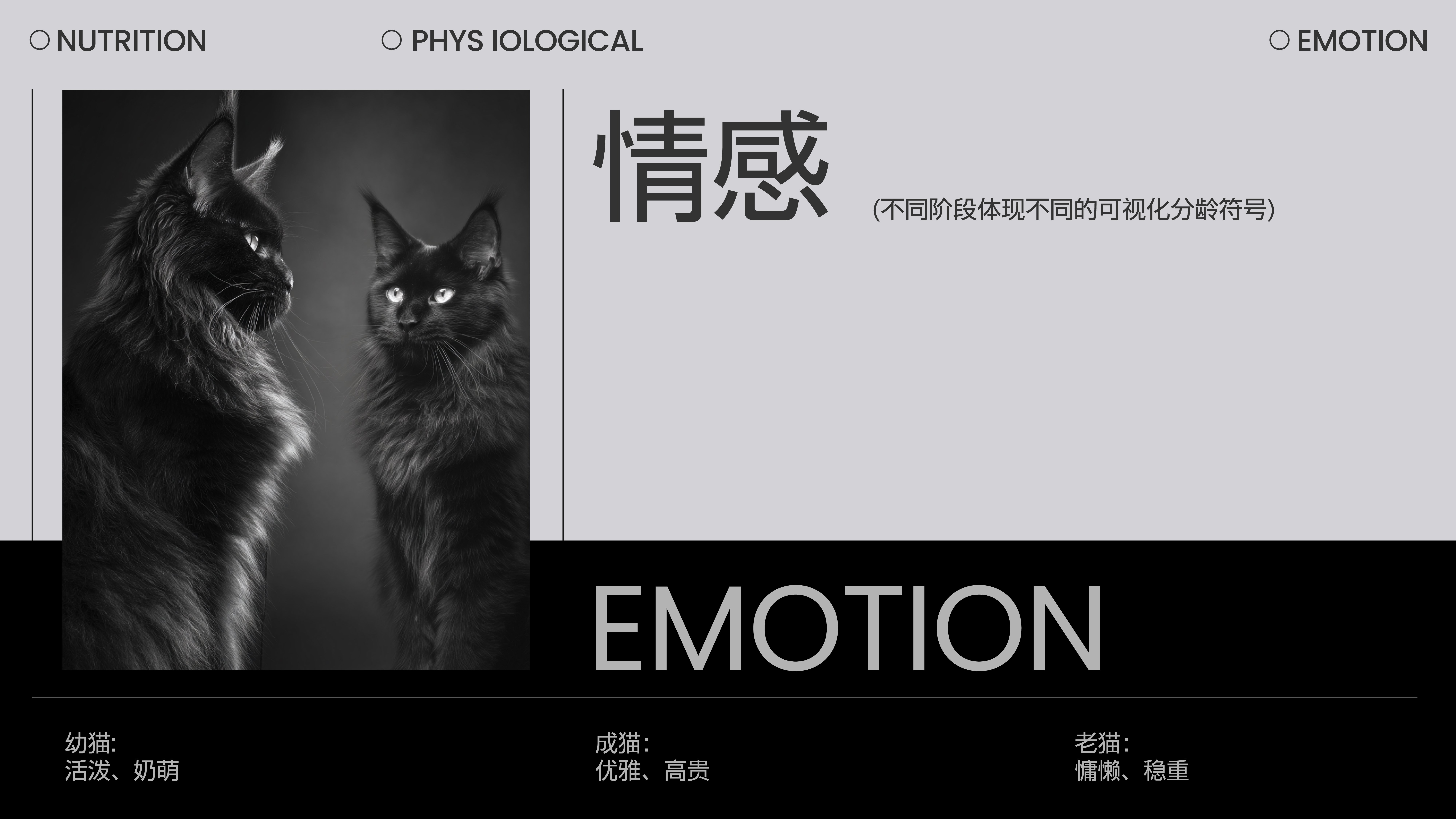 碗饱食  全价（新鲜原肉）主食罐头  品牌全案设计_8.jpg