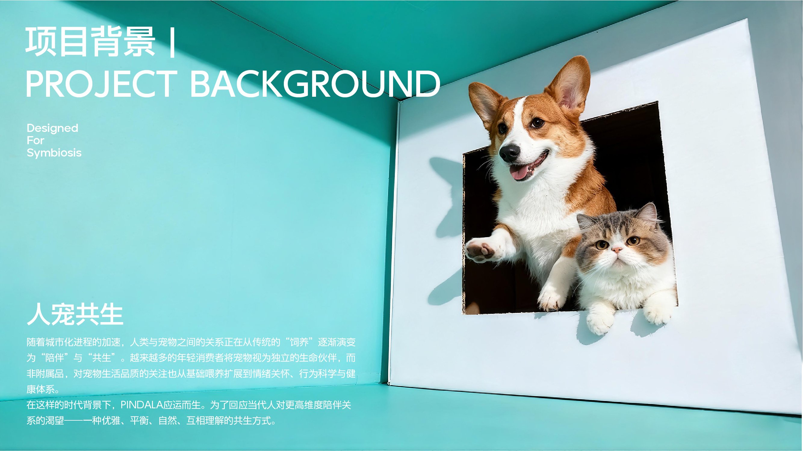 PINDALA  宠物品牌设计_2.jpg