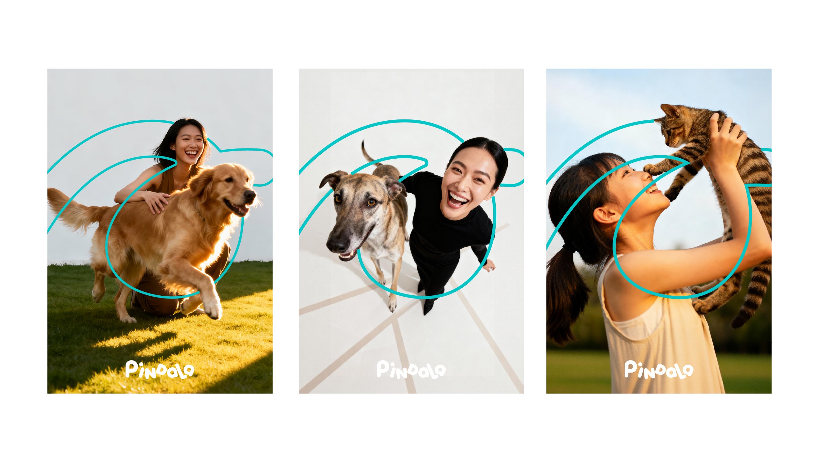 PINDALA  宠物品牌设计_8.jpg