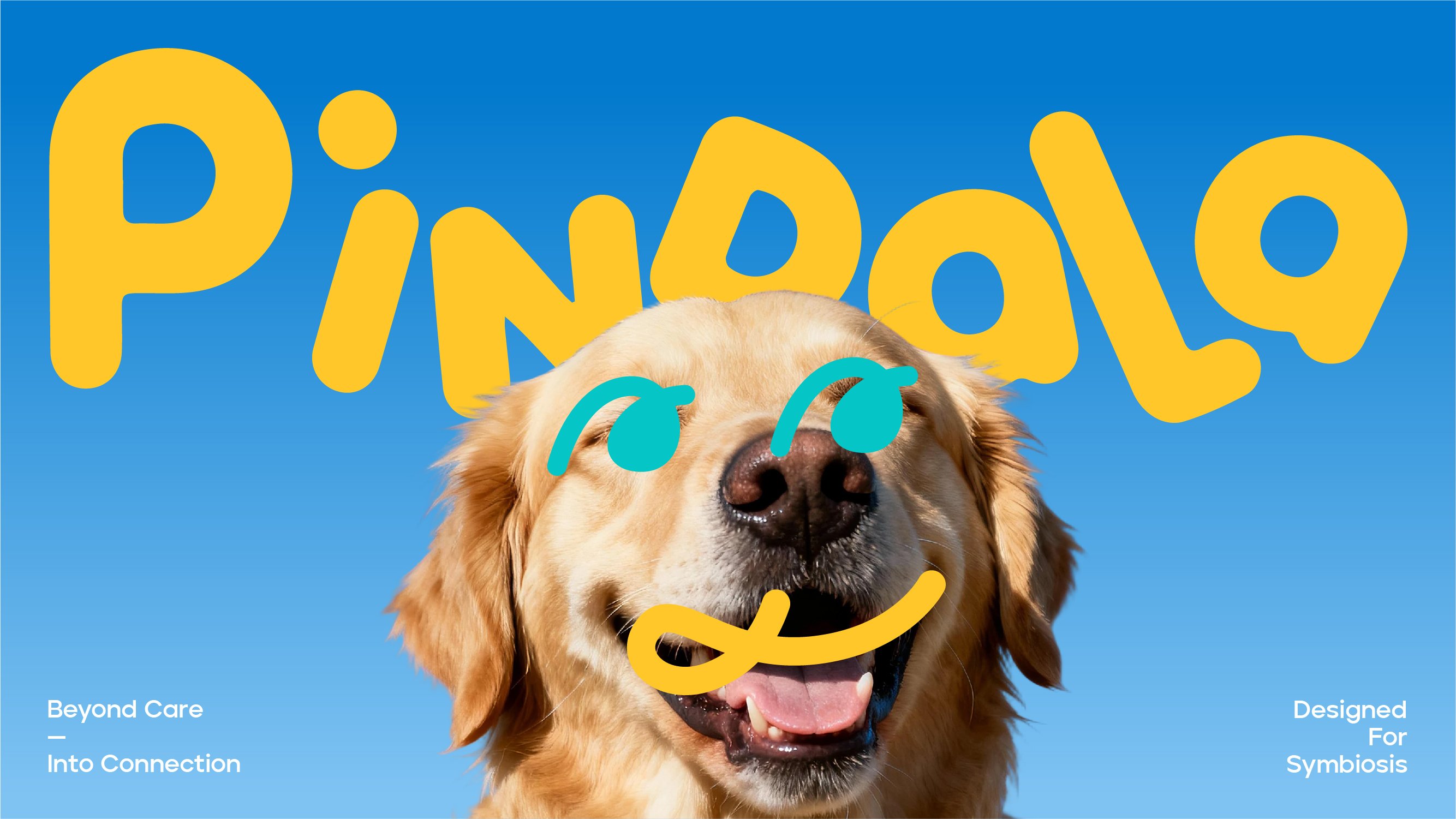 PINDALA  宠物品牌设计_9.jpg