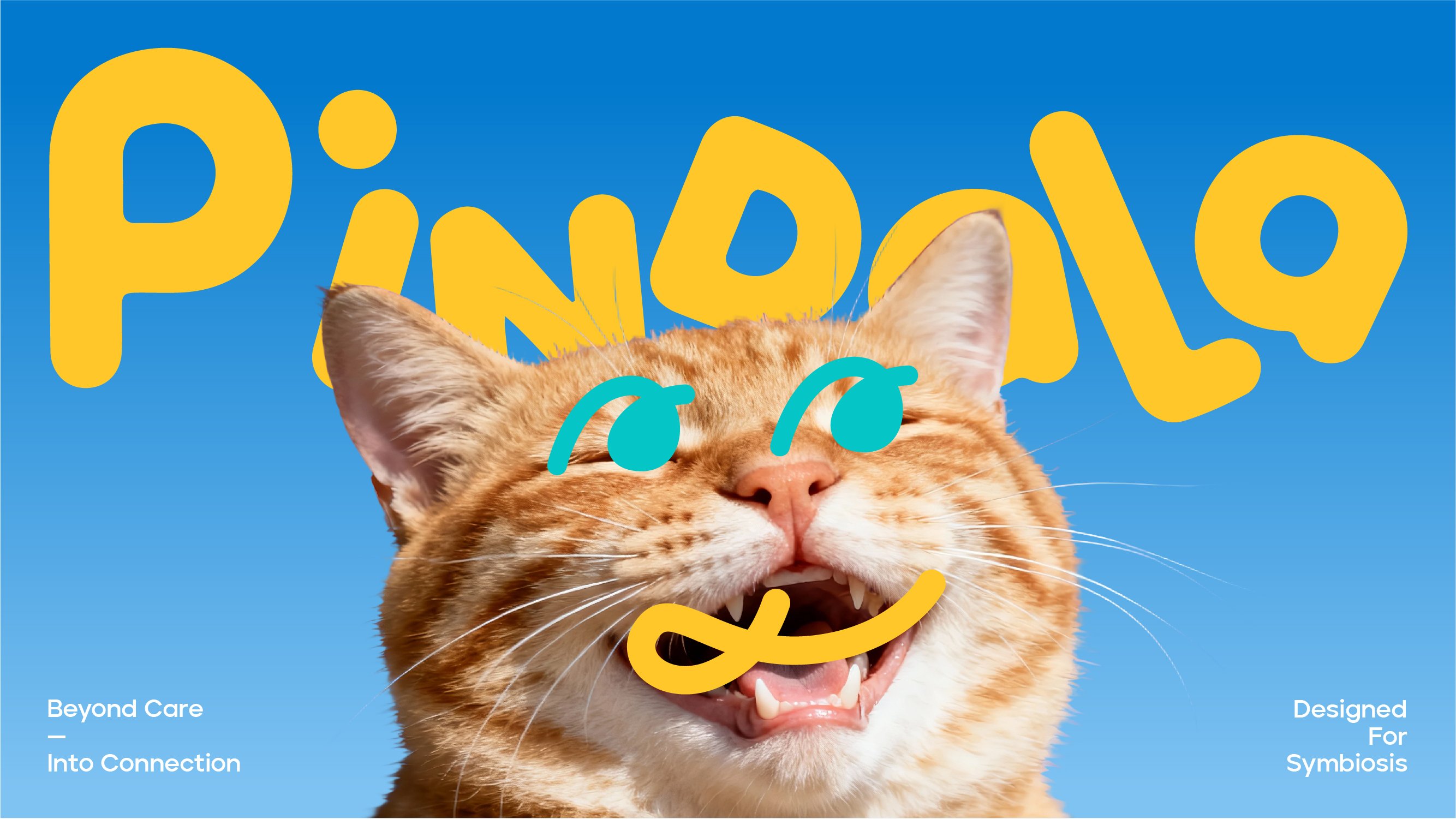 PINDALA  宠物品牌设计_10.jpg
