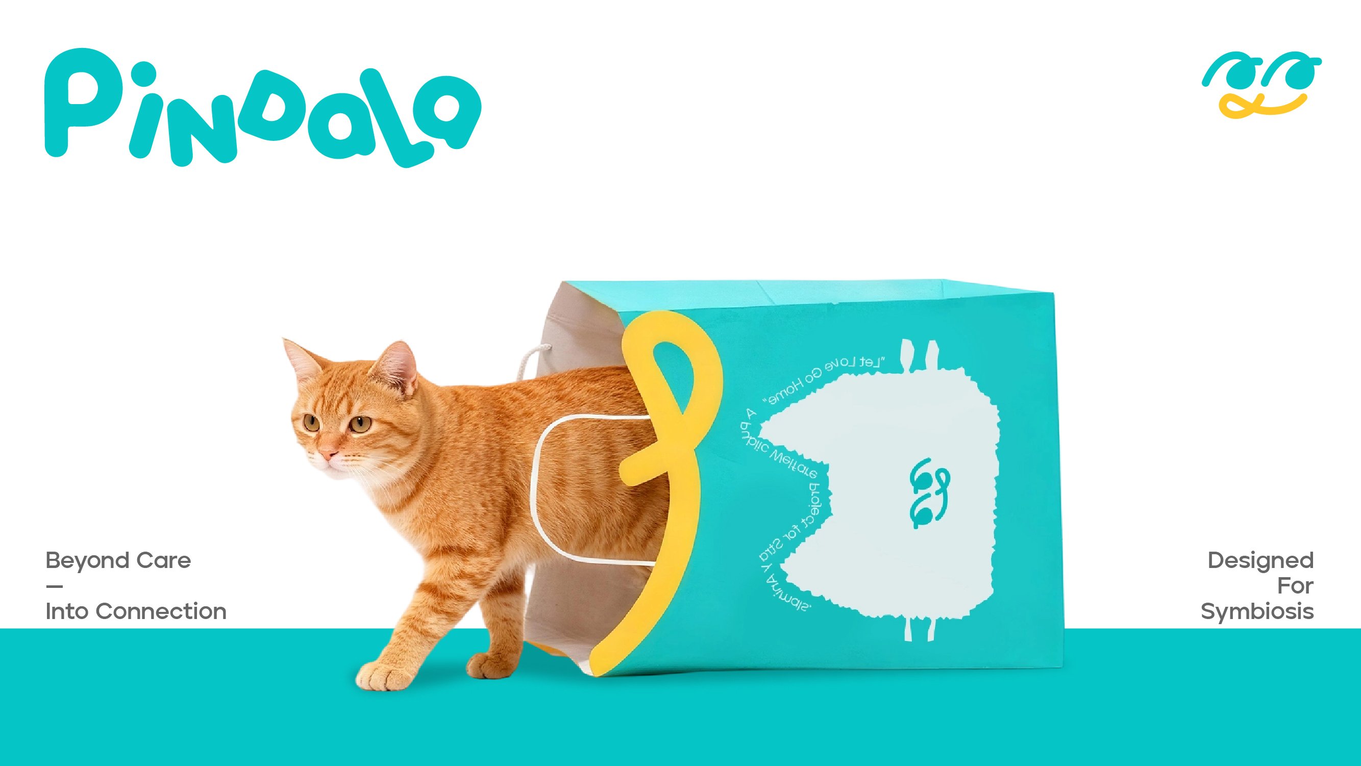 PINDALA  宠物品牌设计_16.jpg