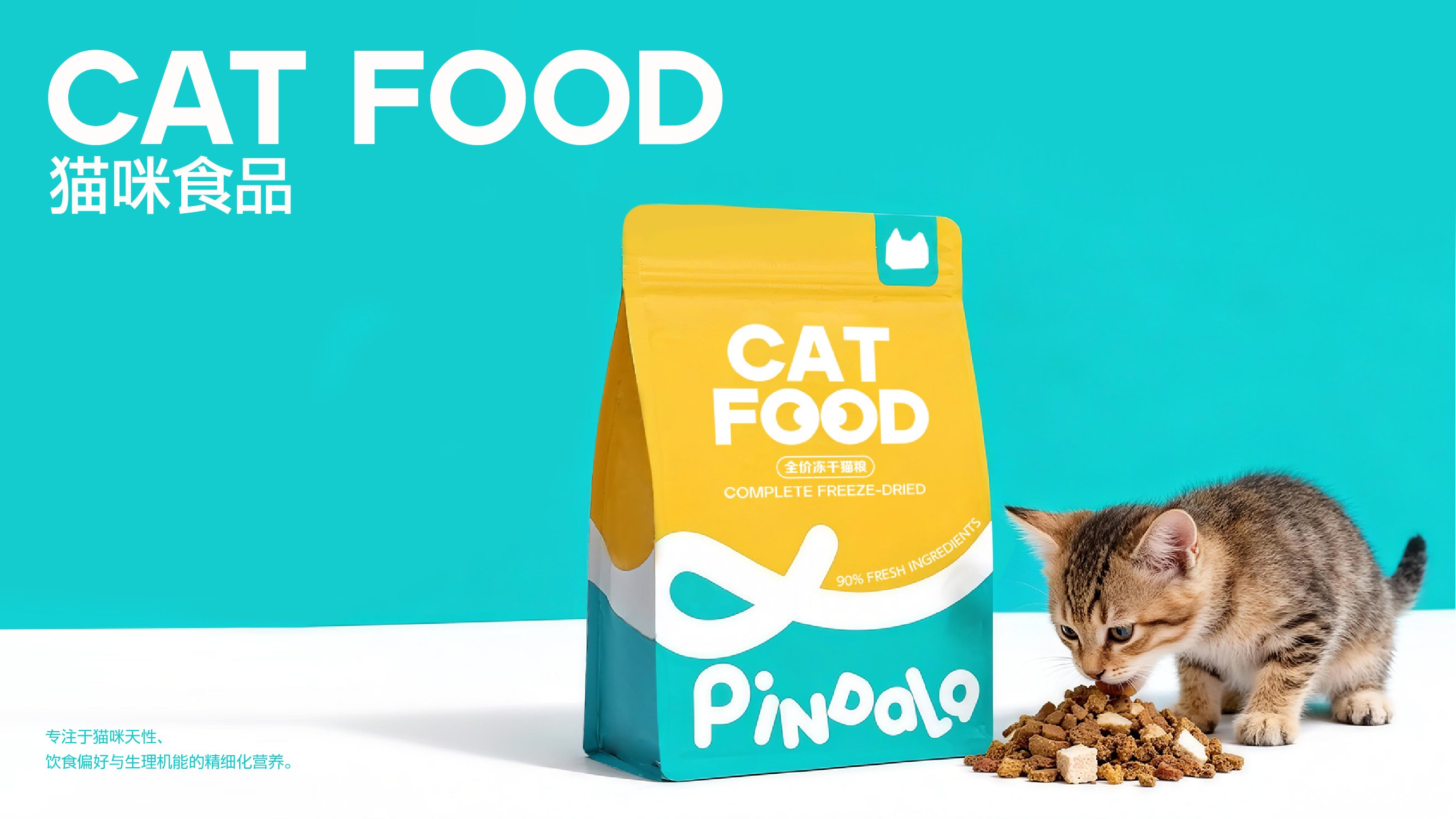 PINDALA  宠物品牌设计_20.jpg