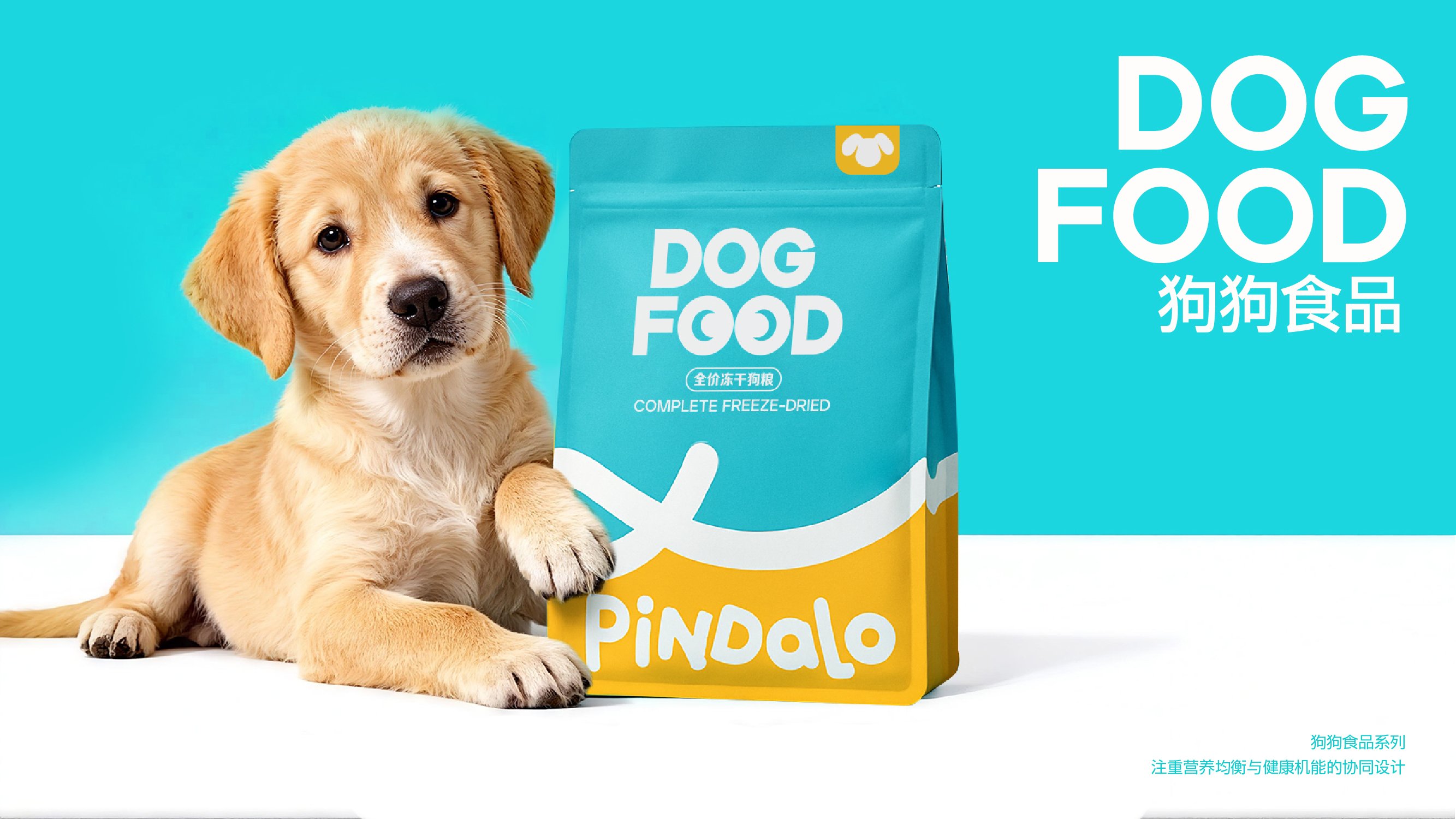 PINDALA  宠物品牌设计_21.jpg