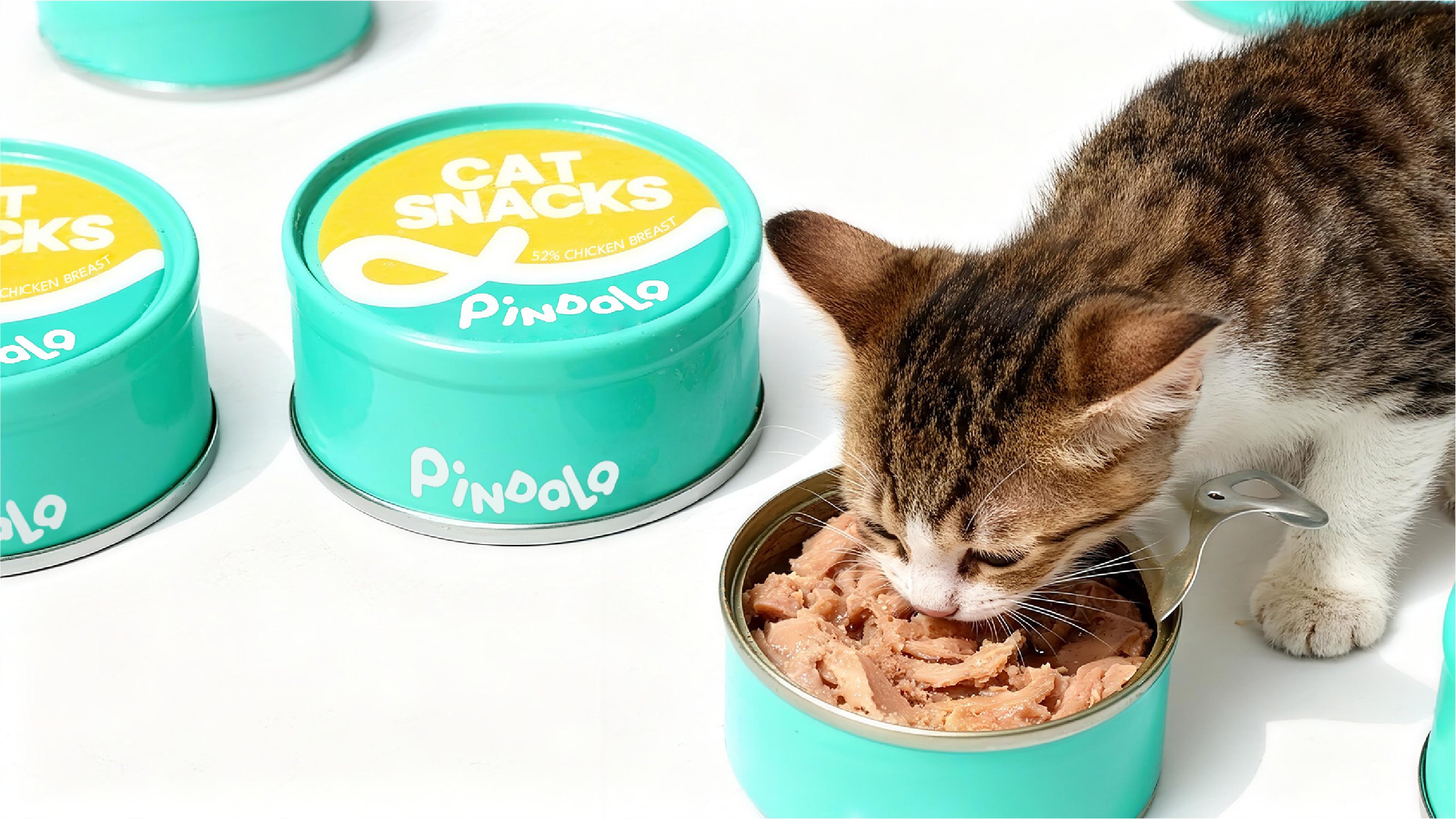 PINDALA  宠物品牌设计_26.jpg