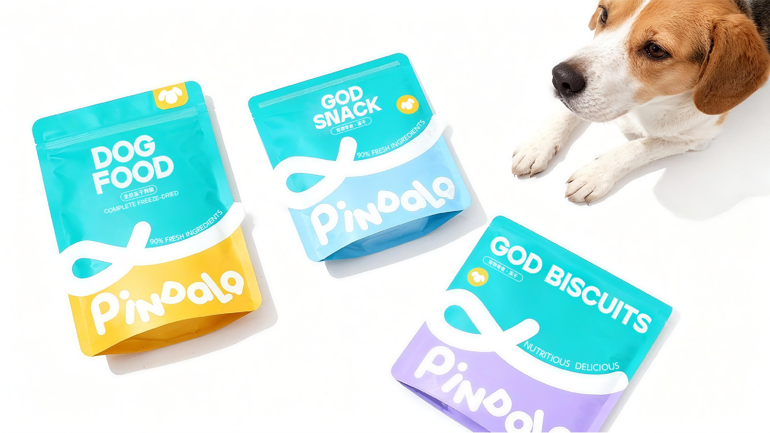 PINDALA  宠物品牌设计_27.jpg