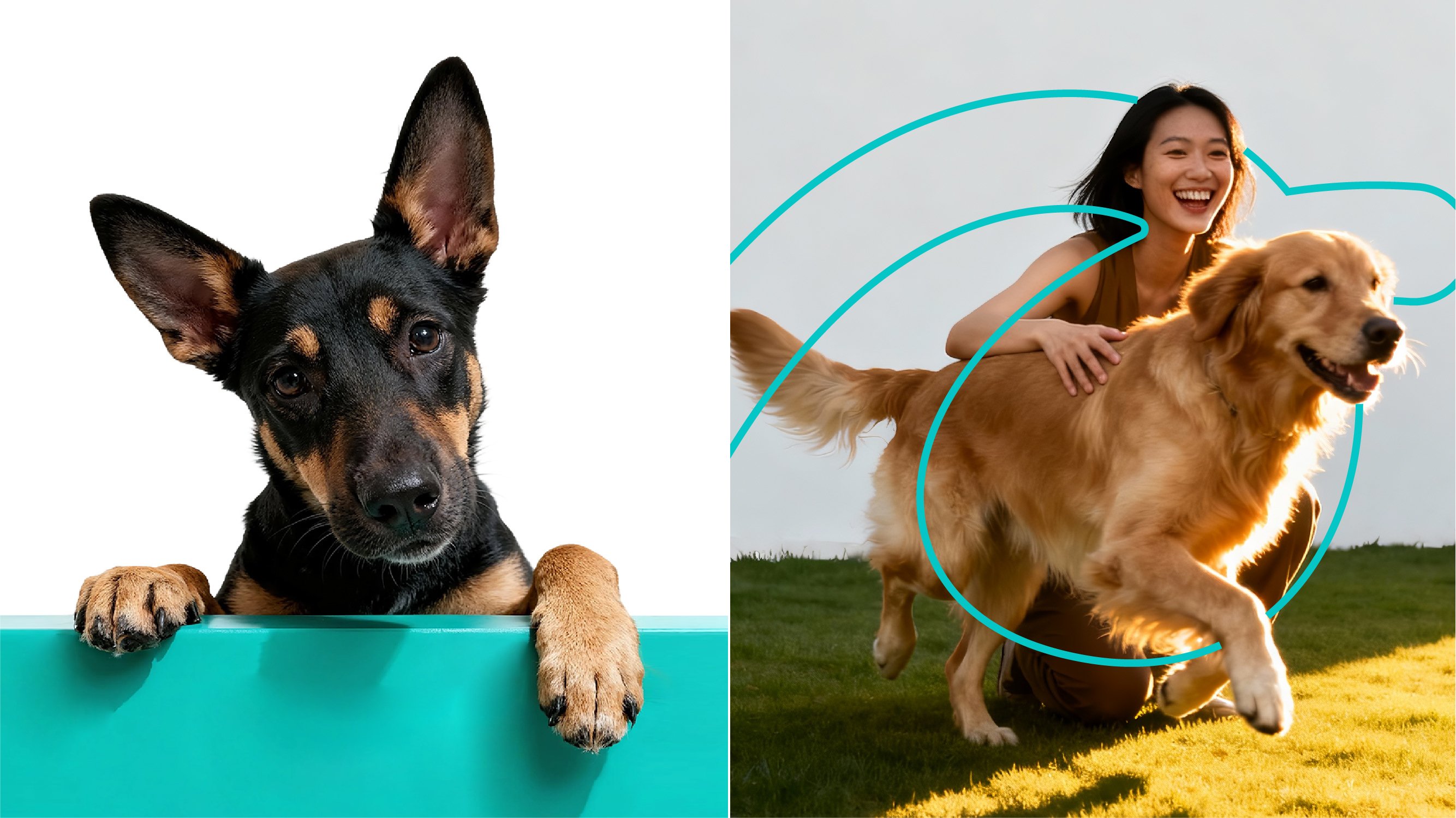 PINDALA  宠物品牌设计_28.jpg