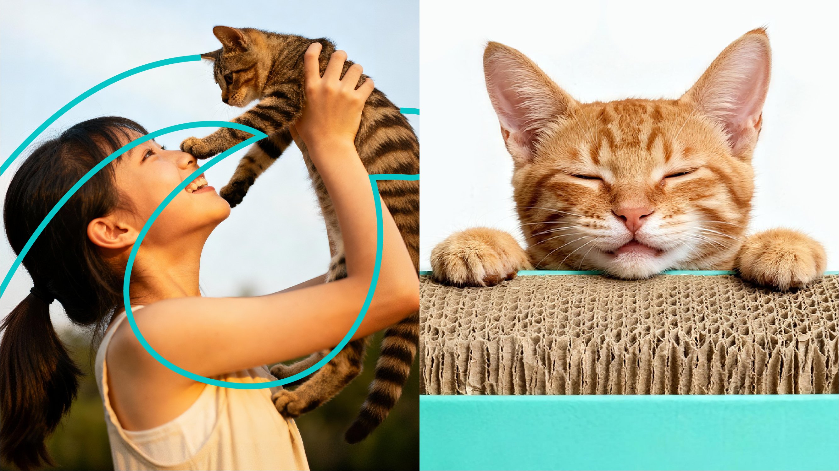 PINDALA  宠物品牌设计_29.jpg