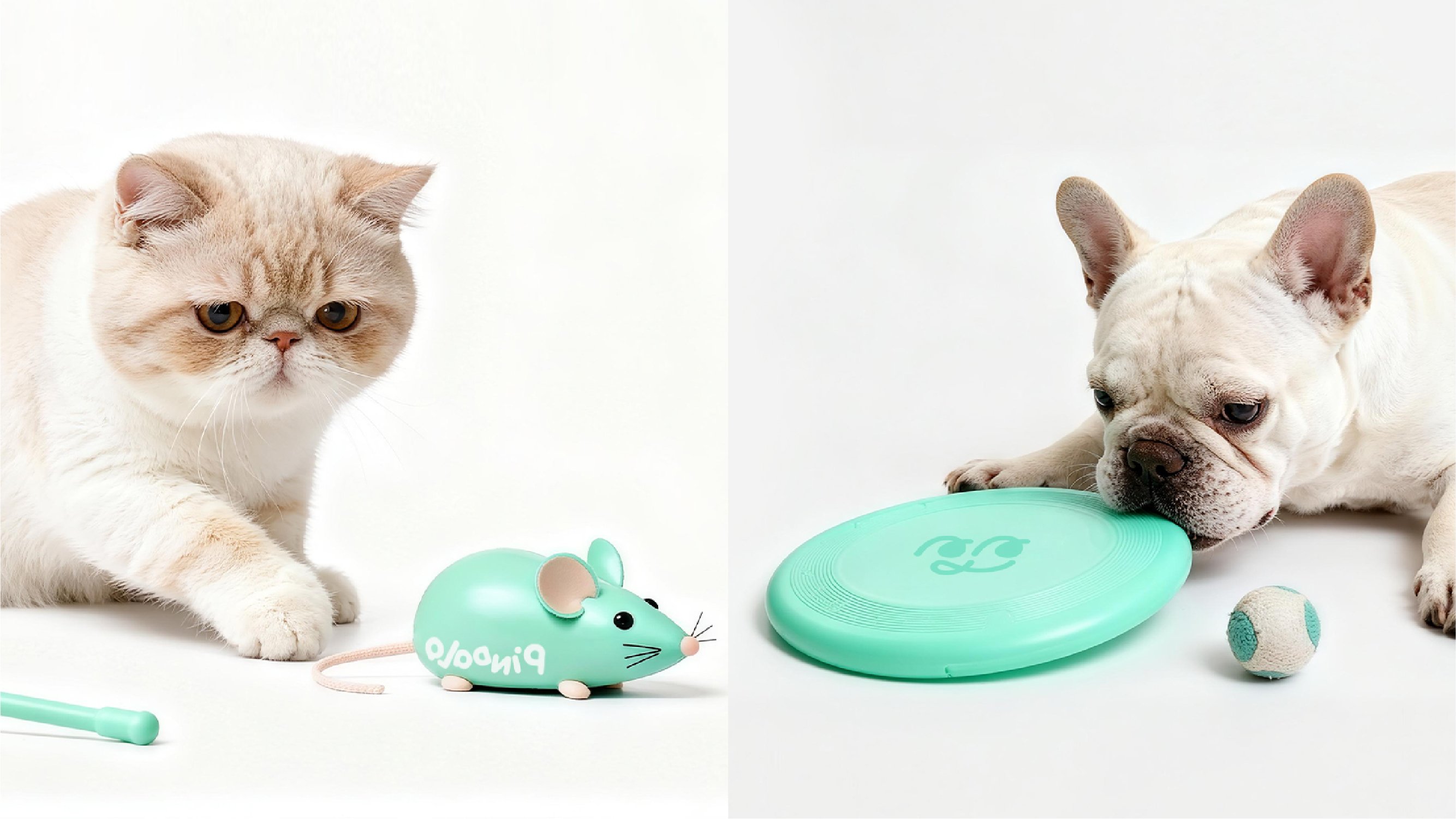 PINDALA  宠物品牌设计_30.jpg